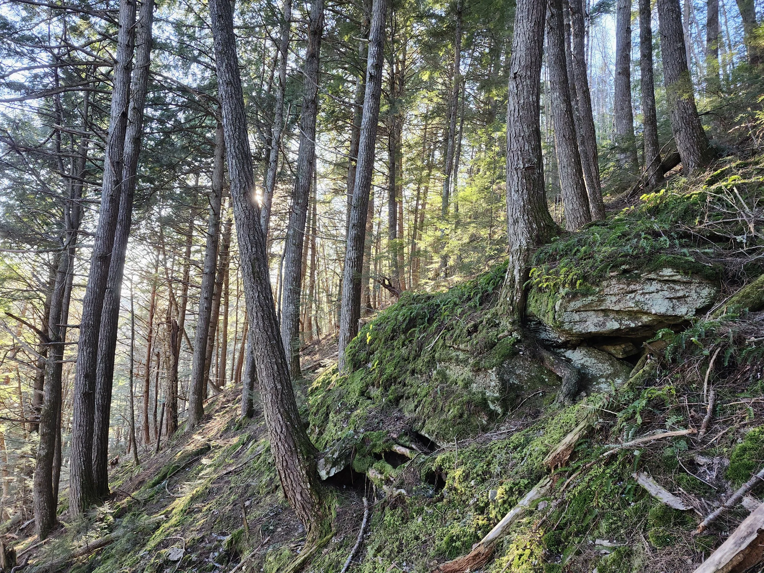 20241213-Hamilton- (1).jpg