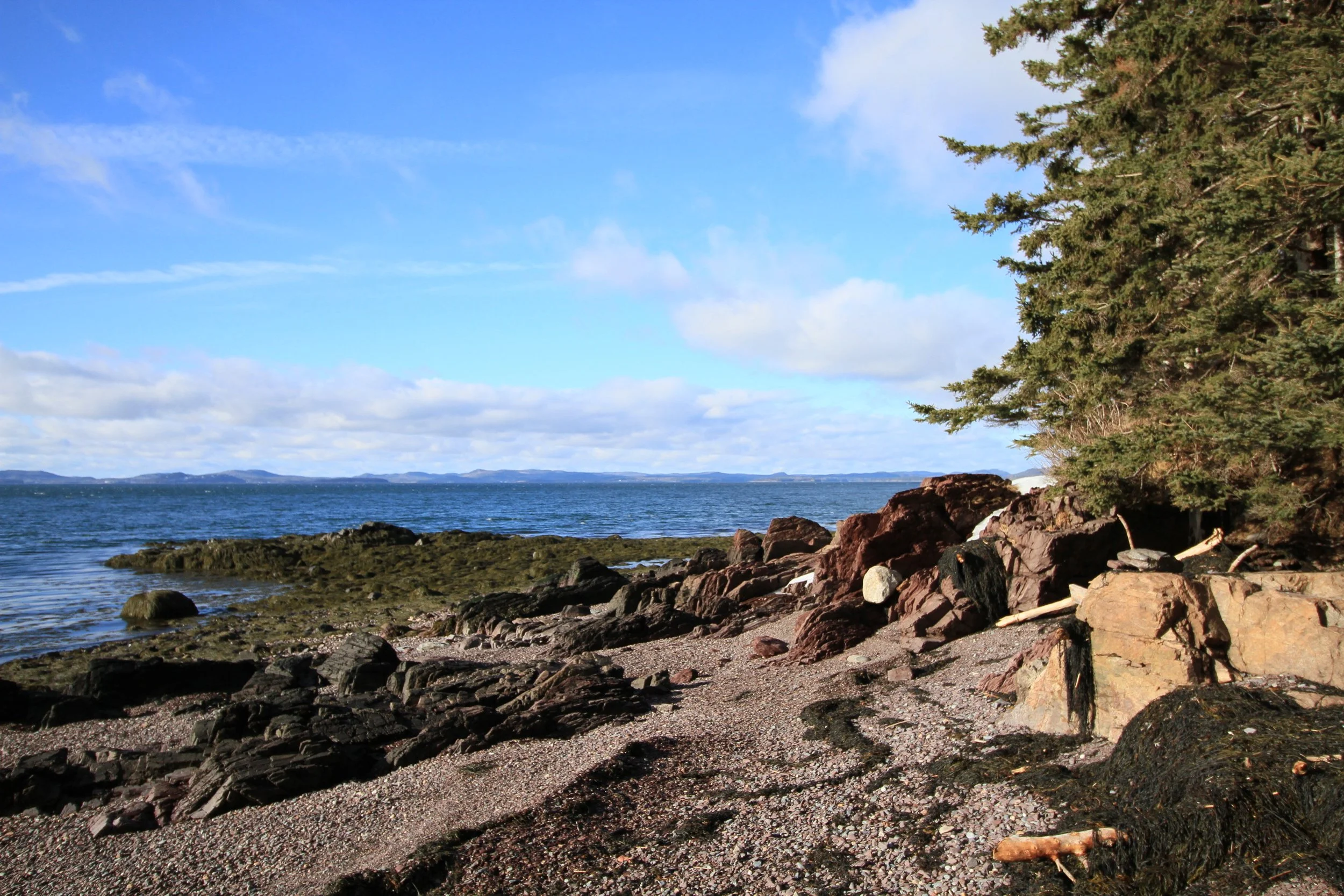 Cedar Crested Cascade.JPG