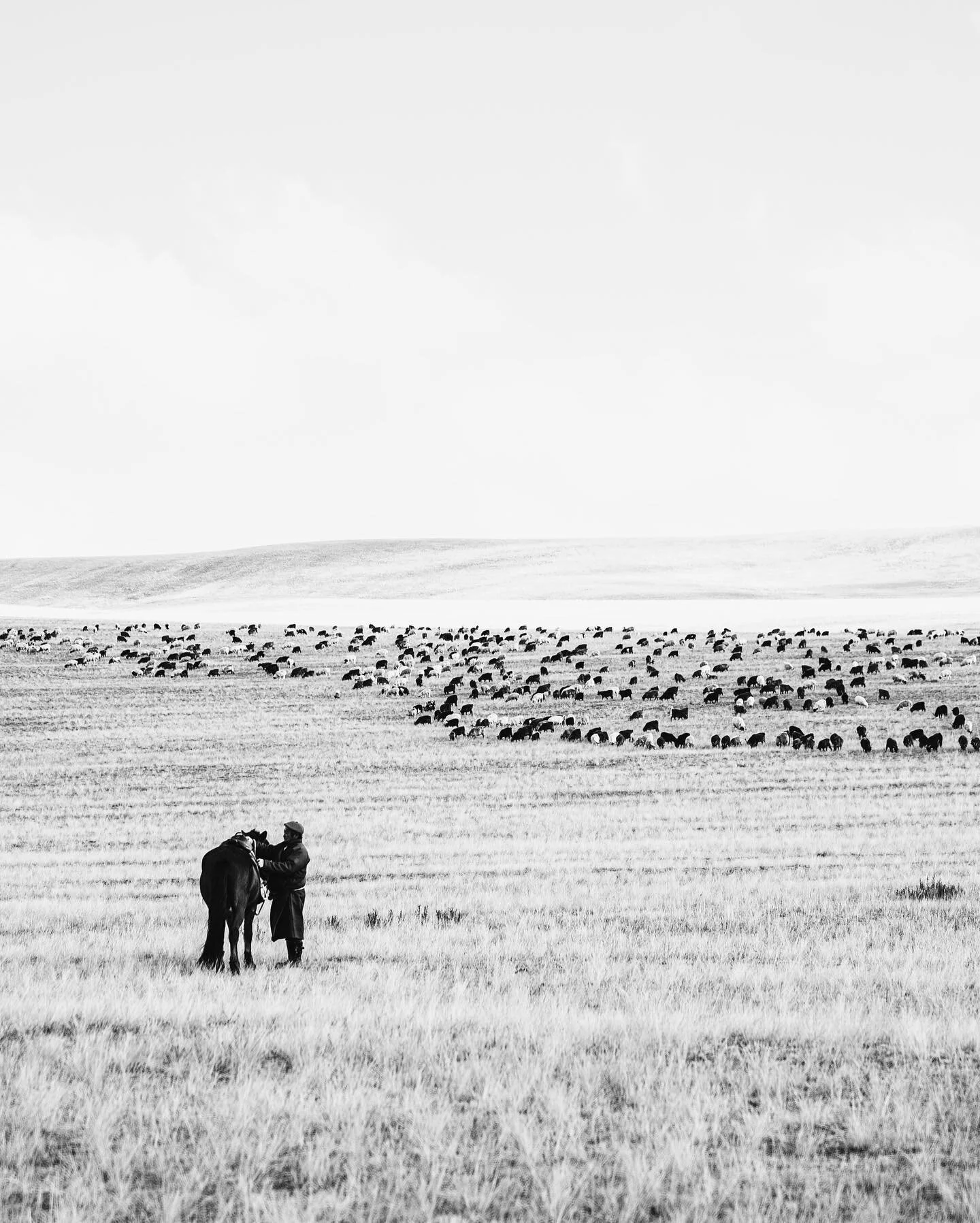 &laquo;&nbsp;Je me suis toujours demand&eacute; pourquoi les oiseaux revenait toujours &agrave; la m&ecirc;me place alors qu&rsquo;ils peuvent voler partout dans le monde.&nbsp;&raquo;
Ensuite je me suis pos&eacute; la question en pensant &agrave; ce