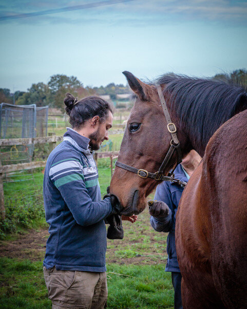 Treating Horses