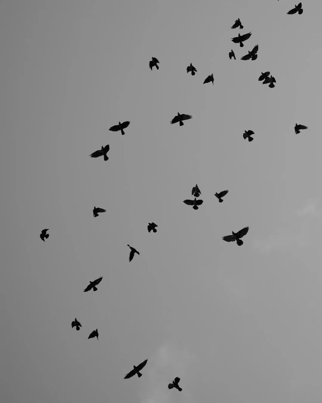 Beautiful day with Bex + Sam
Venue: @middletonlodge 
Dress: @dottybridal 
Suits: @suitdirectuk 
MUA: @charlotte_mallindermua 
Hair: @hairbykelsey_1 
Florist: @sprigandthistle 
DJ: @the.beat.boutique.weddings 
Sax: @ladyvsax20 
#middletonlodge #midd