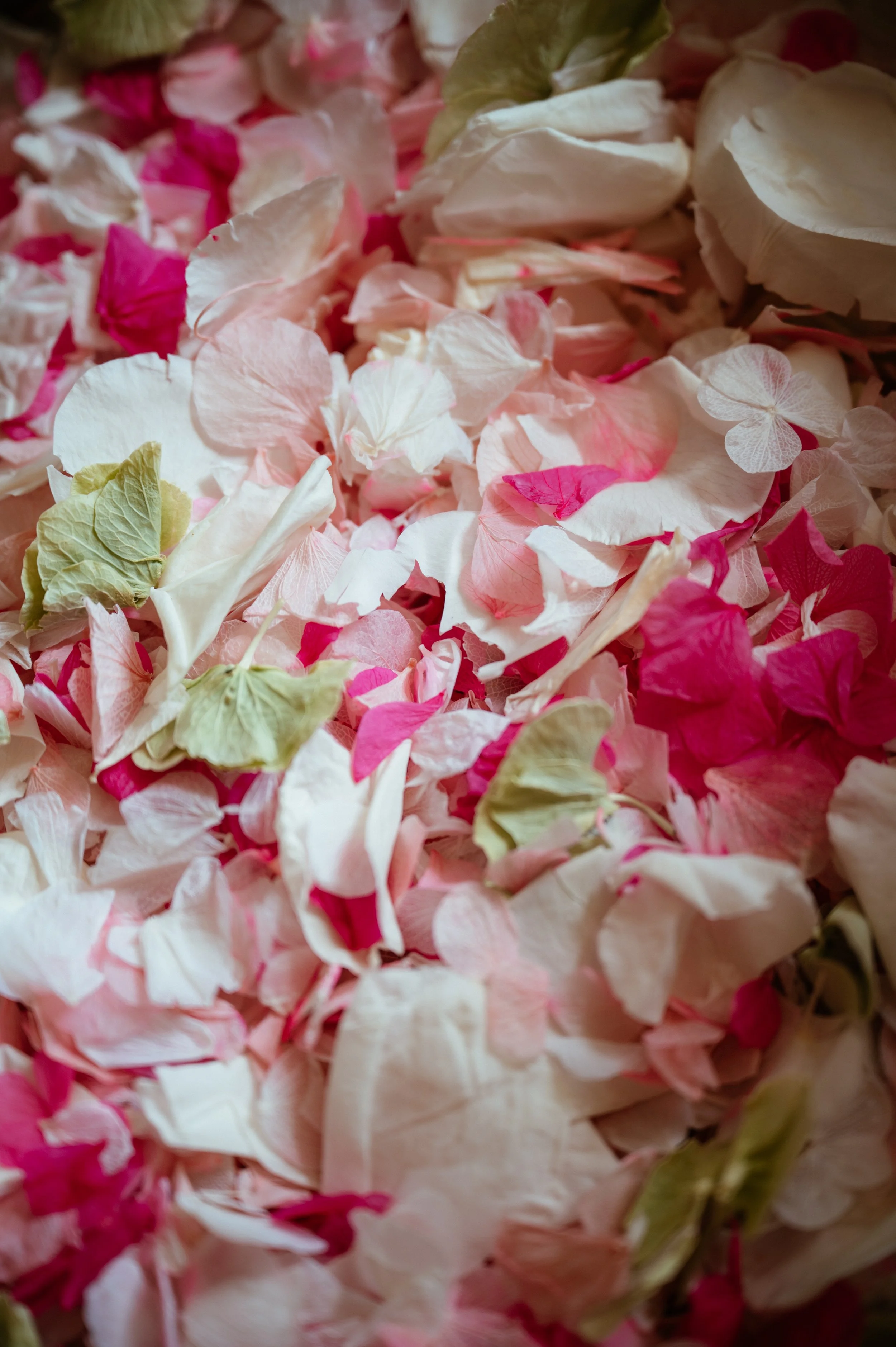 Chapel Nossa Senhora Da Rocha and Morgado do Quintão Wedding in Portugal by Lauren Braithwaite