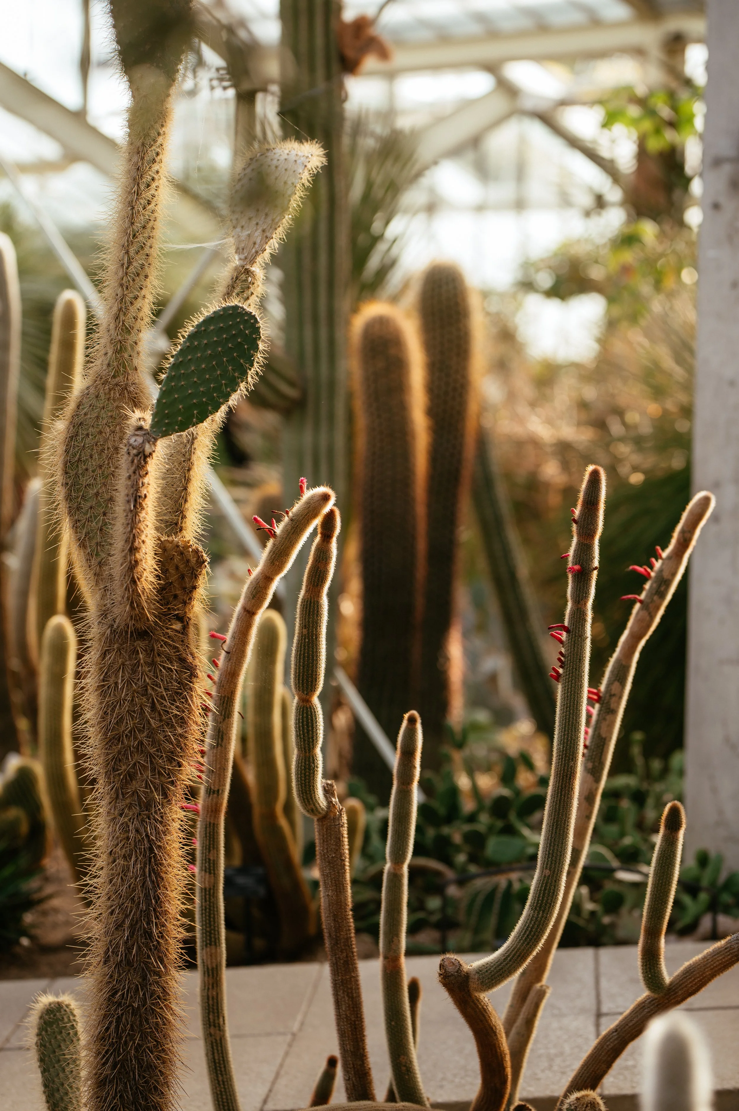 Kew Gardens Wedding - Lauren Braithwaite