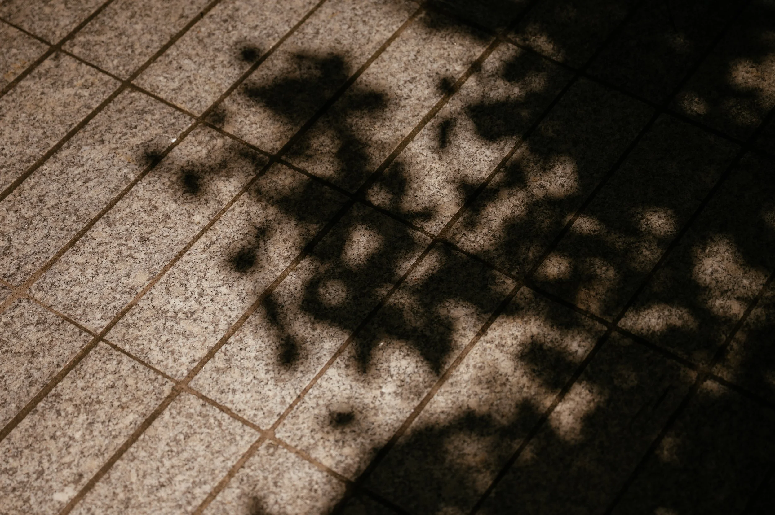 Fitzrovia Chapel Wedding / Lauren Braithwaite