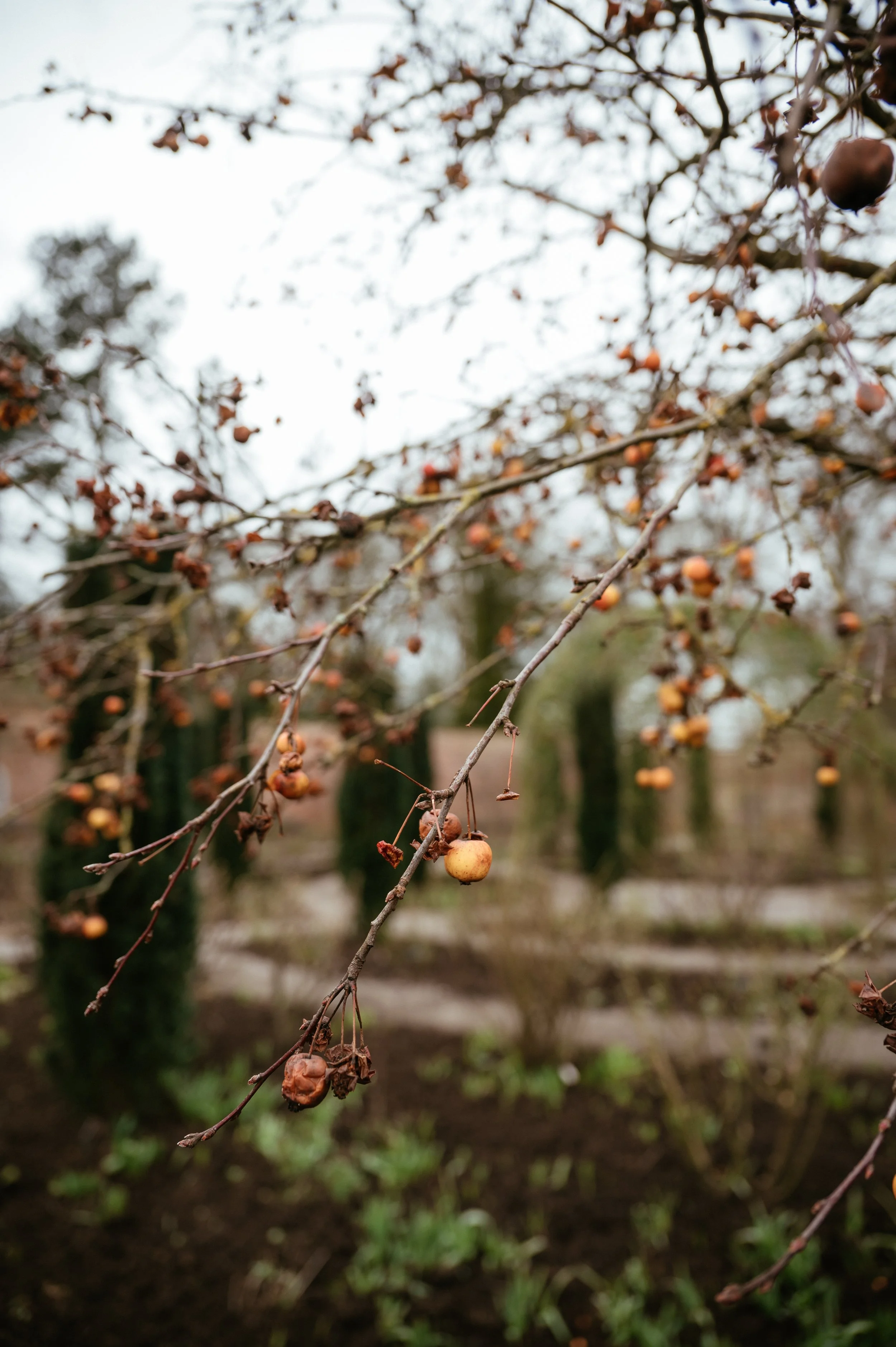 Middleton Lodge Fig House Wedding Photography by Lauren Braithwaite