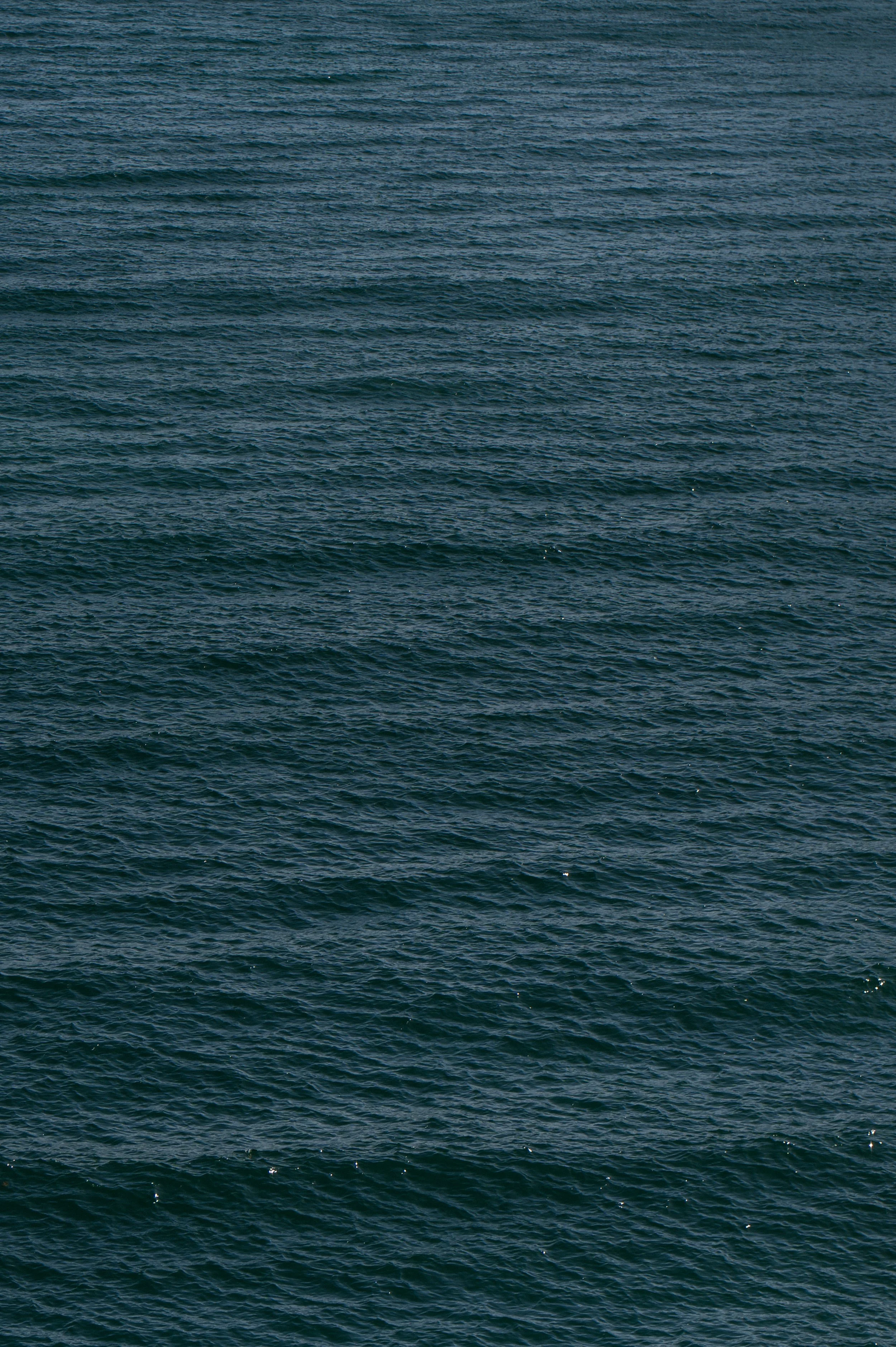 Chapel Nossa Senhora Da Rocha and Morgado do Quintão Wedding in Portugal by Lauren Braithwaite