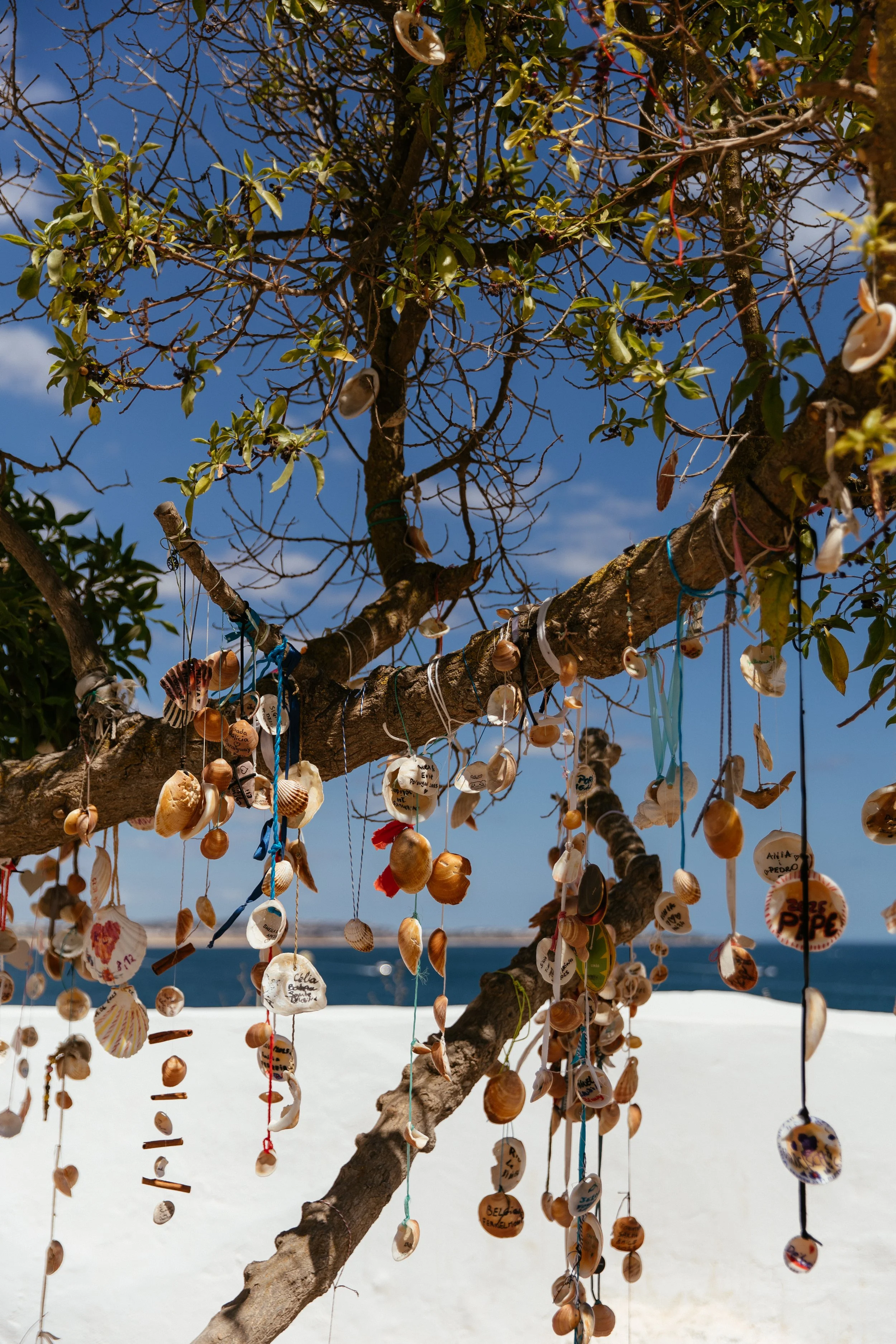 Chapel Nossa Senhora Da Rocha and Morgado do Quintão Wedding in Portugal by Lauren Braithwaite