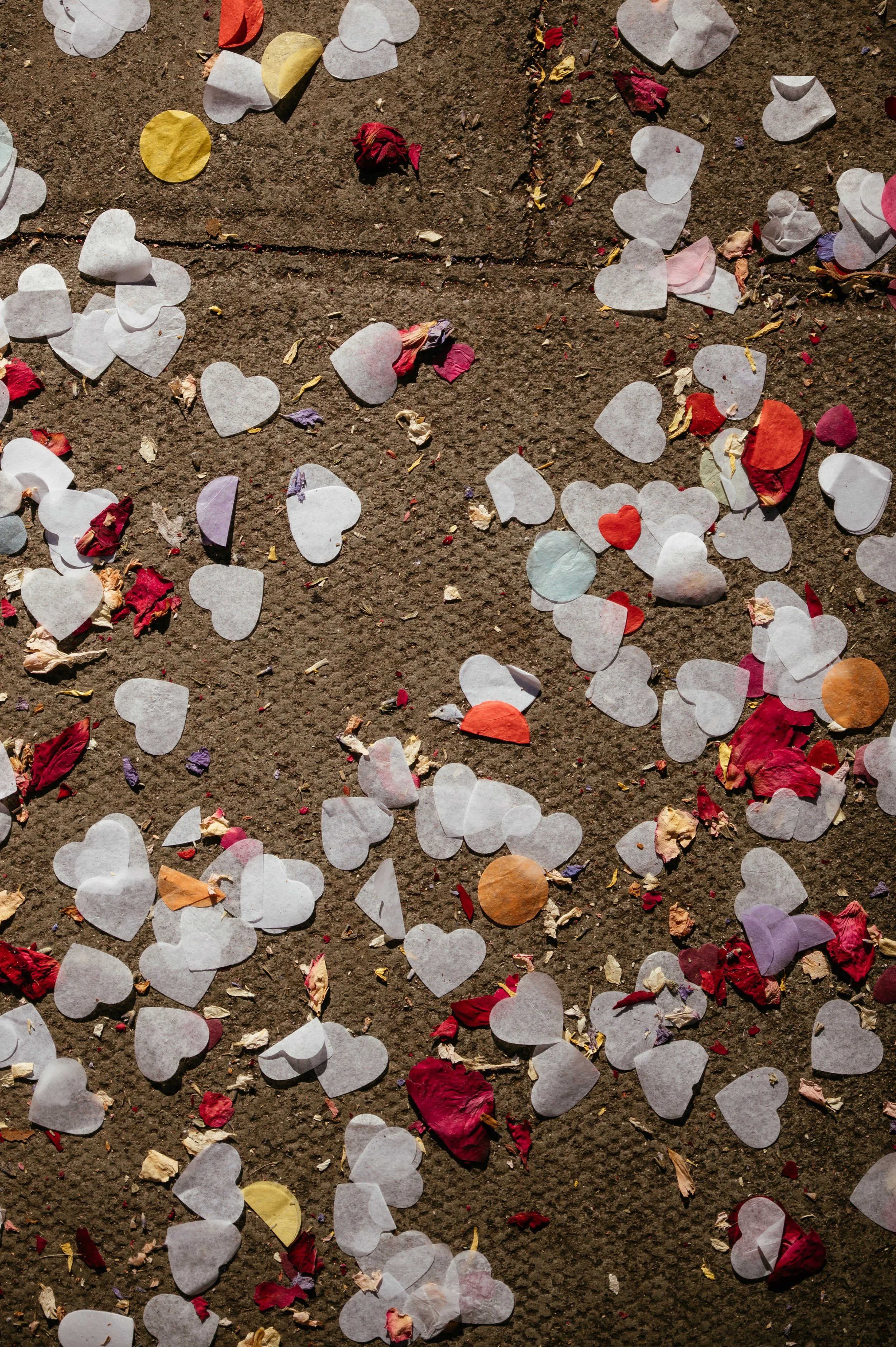 Old Marylebone Town Hall / Wagtail London Wedding by Lauren Braithwaite