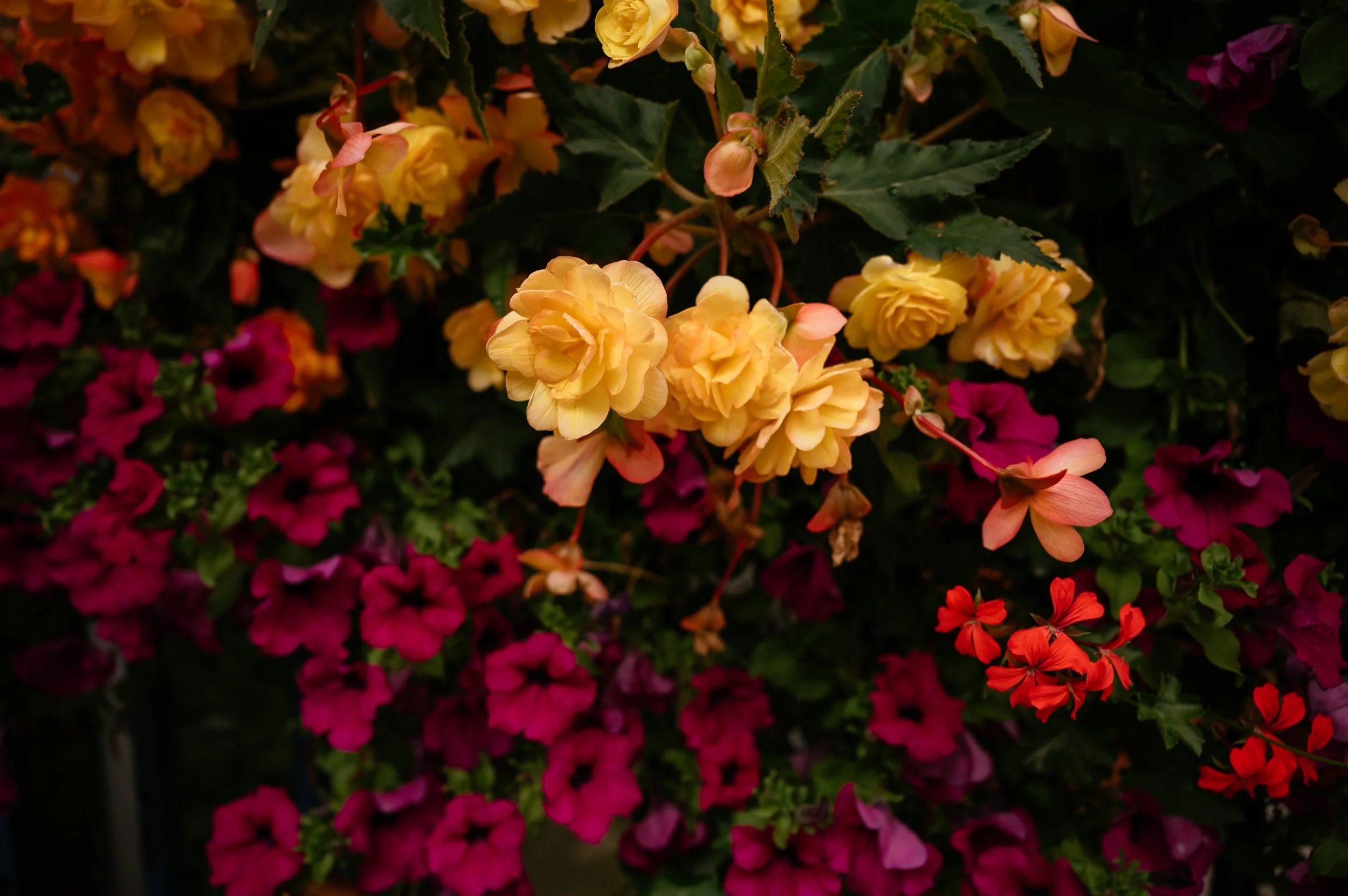 Old Marylebone Town Hall / Wagtail London Wedding by Lauren Braithwaite