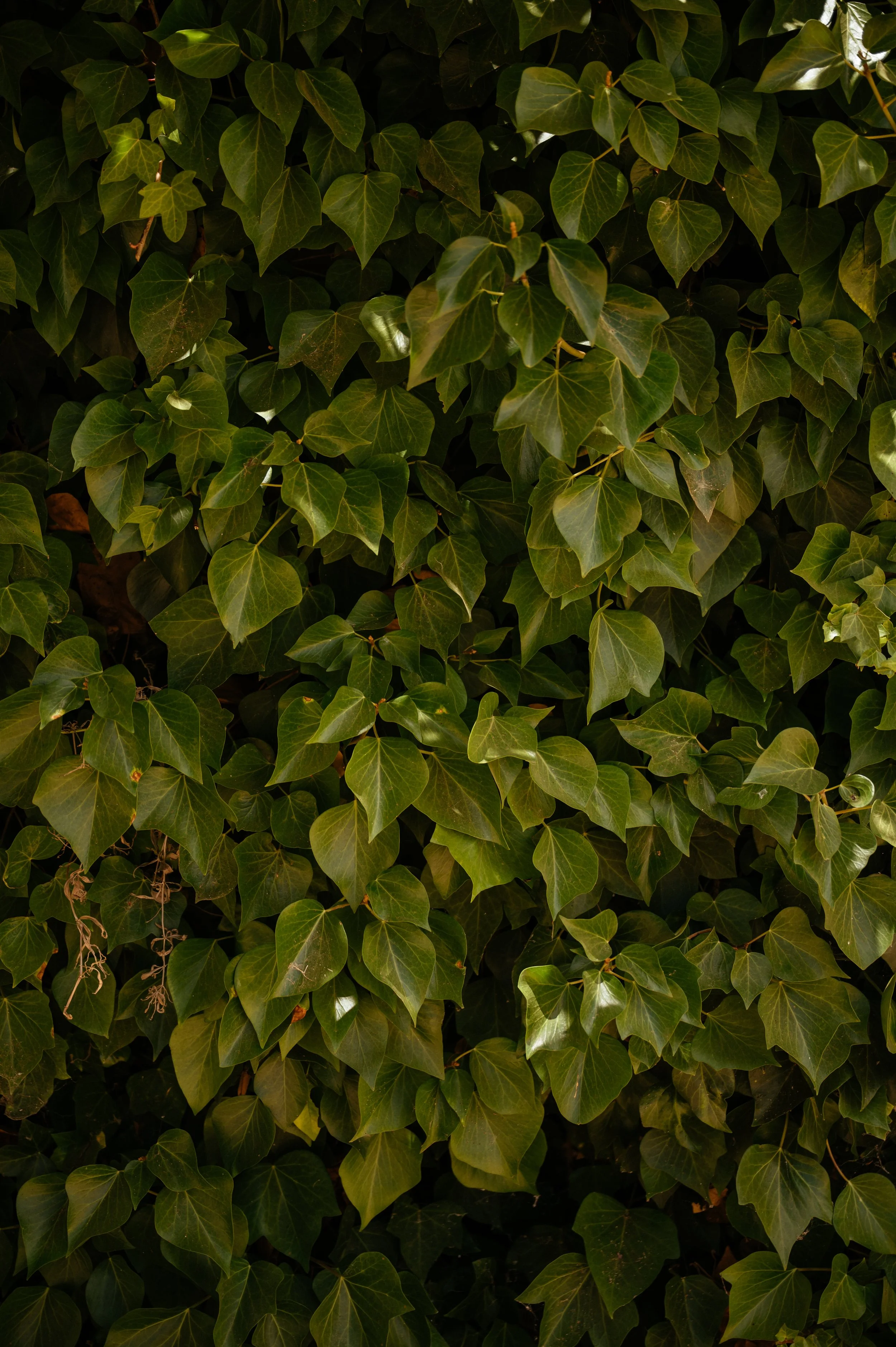 Chapel Nossa Senhora Da Rocha and Morgado do Quintão Wedding in Portugal by Lauren Braithwaite
