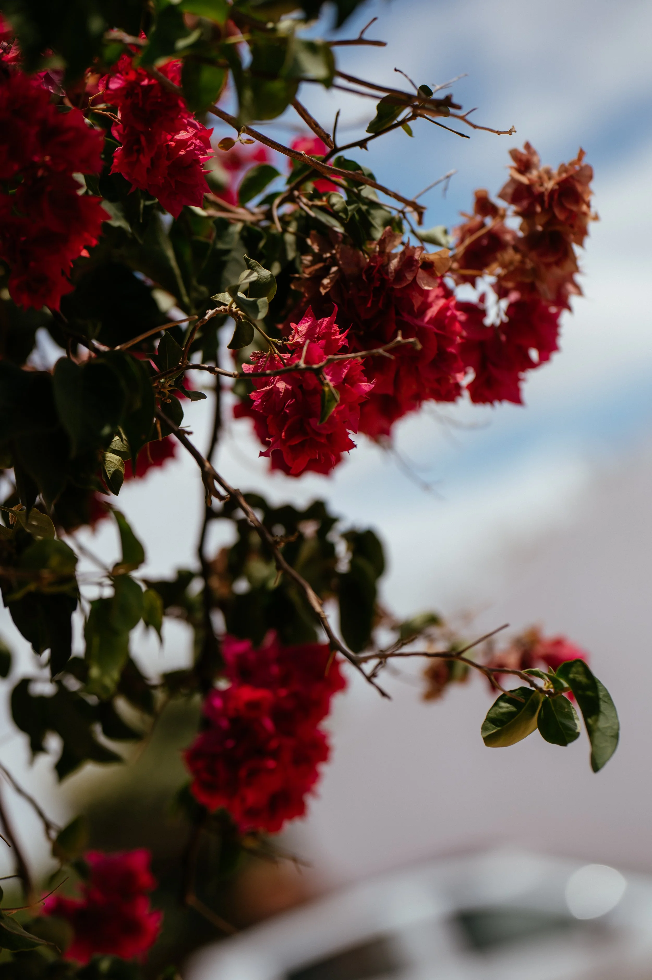 Chapel Nossa Senhora Da Rocha and Morgado do Quintão Wedding in Portugal by Lauren Braithwaite