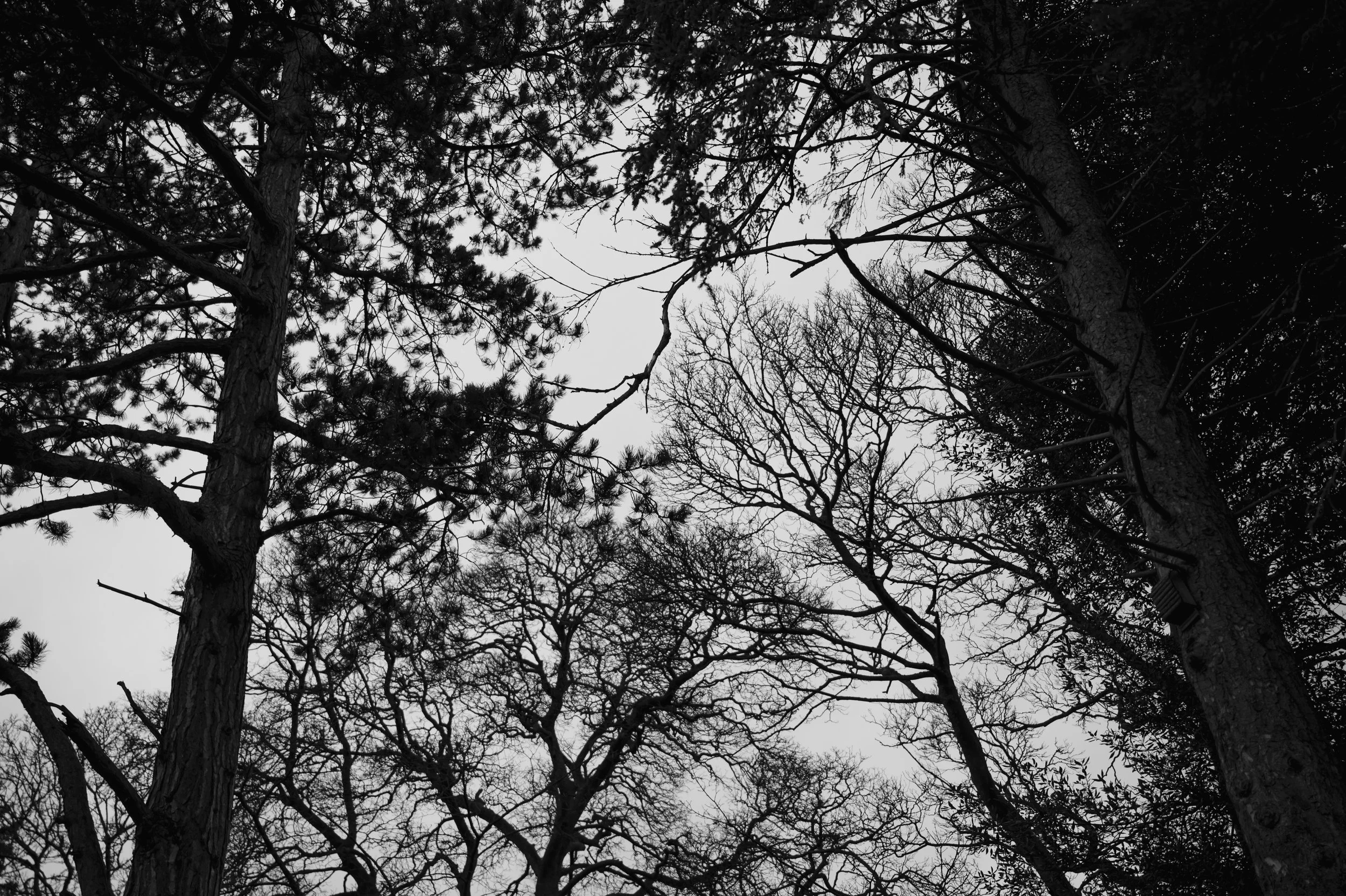 Middleton Lodge Fig House Wedding Photography by Lauren Braithwaite