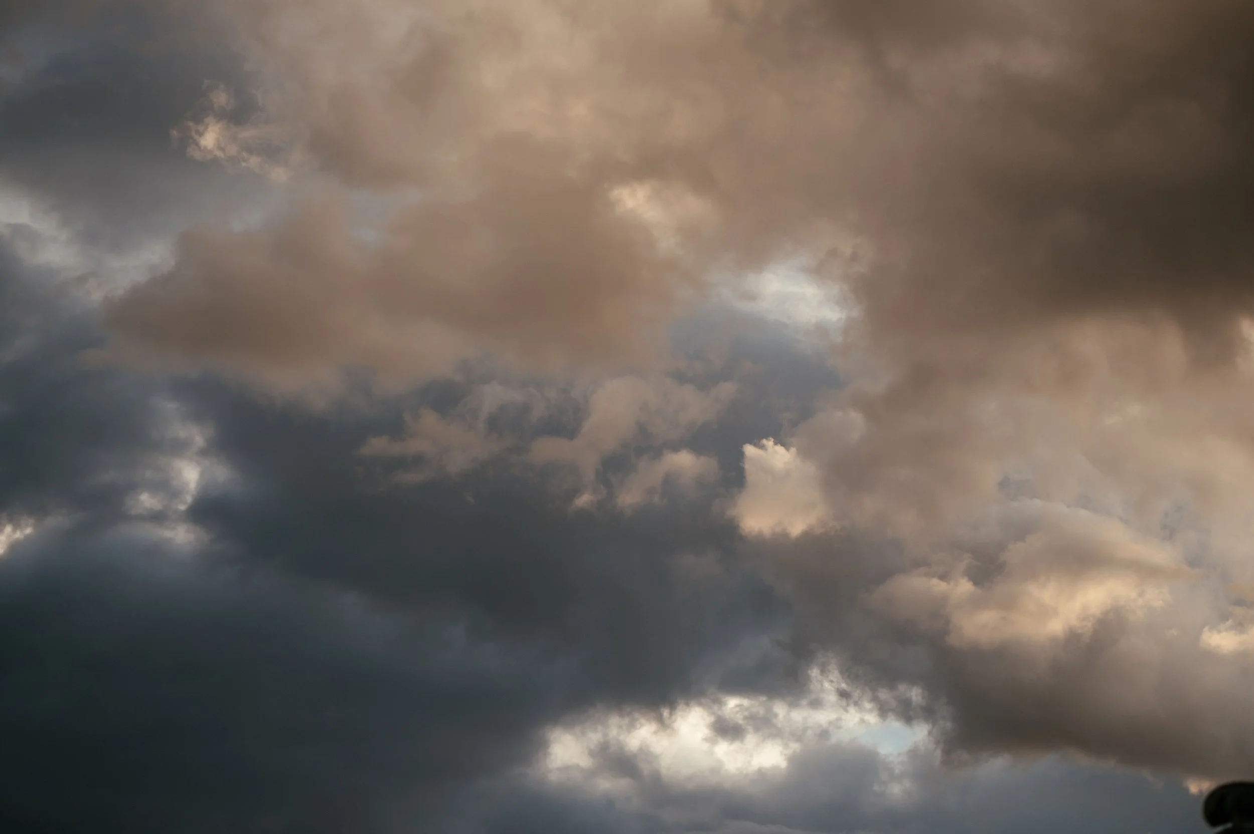 Old Marylebone Town Hall / Wagtail London Wedding by Lauren Braithwaite