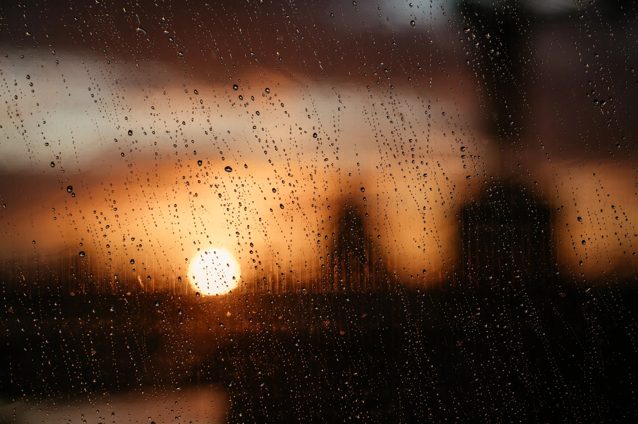 Old Marylebone Town Hall / Wagtail London Wedding by Lauren Braithwaite