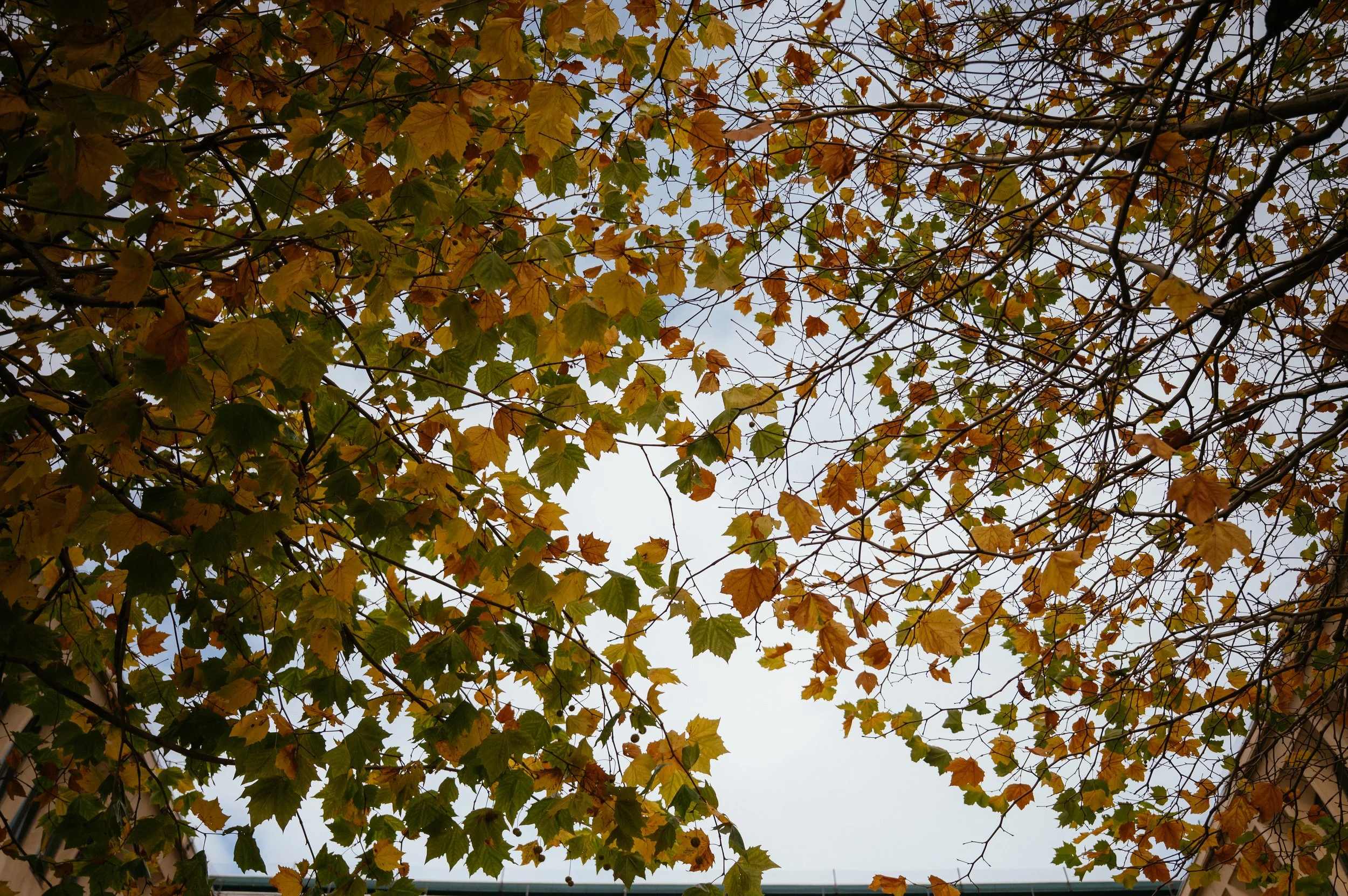 The Baltic / Tapyard Wedding in Newcastle by Lauren Braithwaite