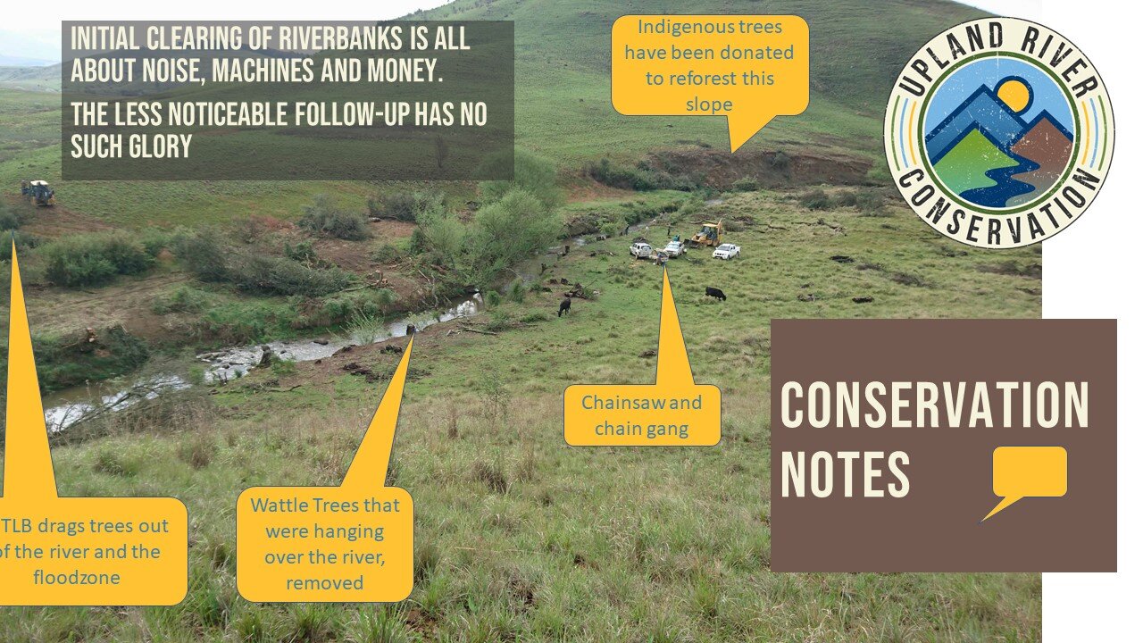 conservation notes 8.jpg