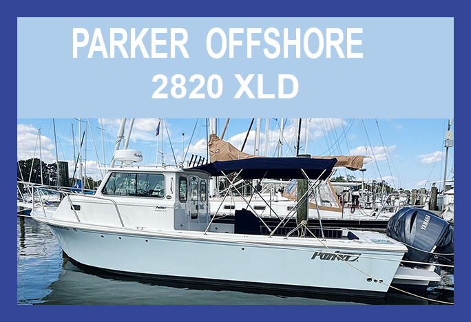 “The Leak They Tried to Ignore”