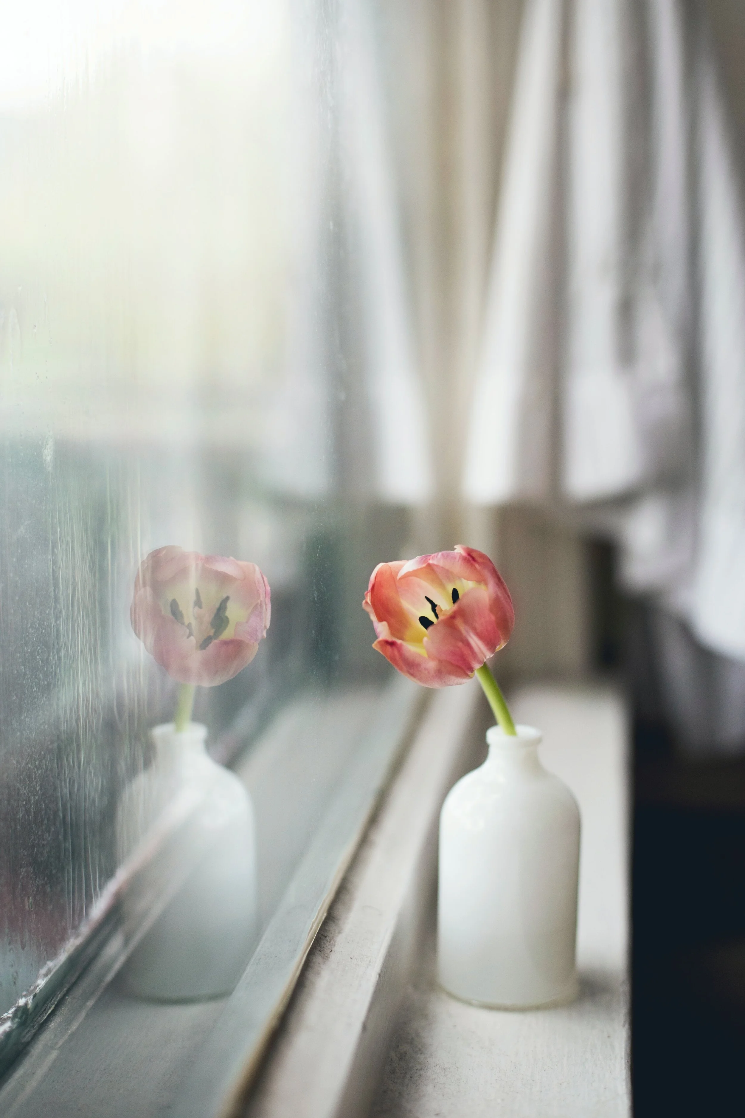 Coping with Covid-19?