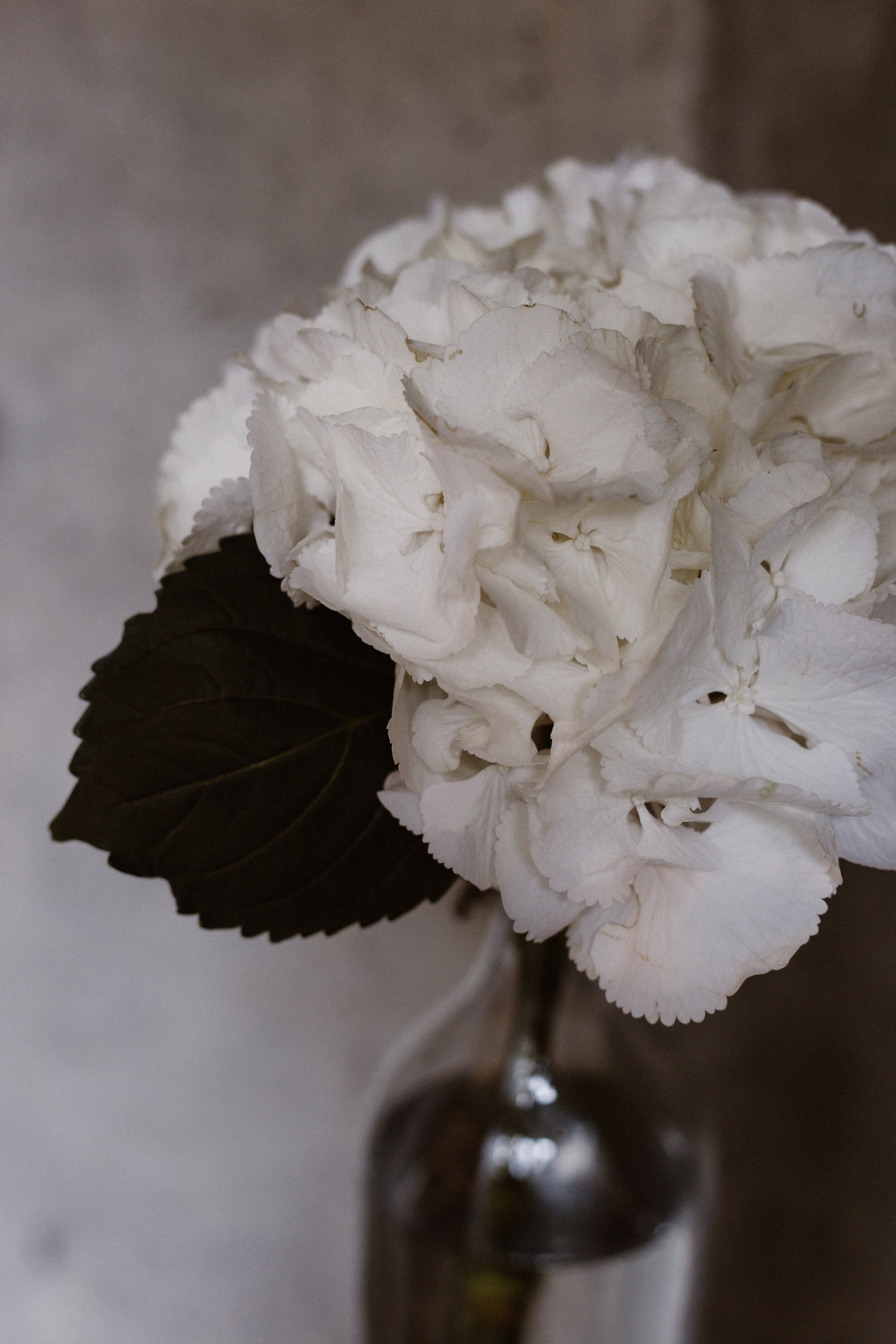 Podcast #14 | Finding Meaning in Illness