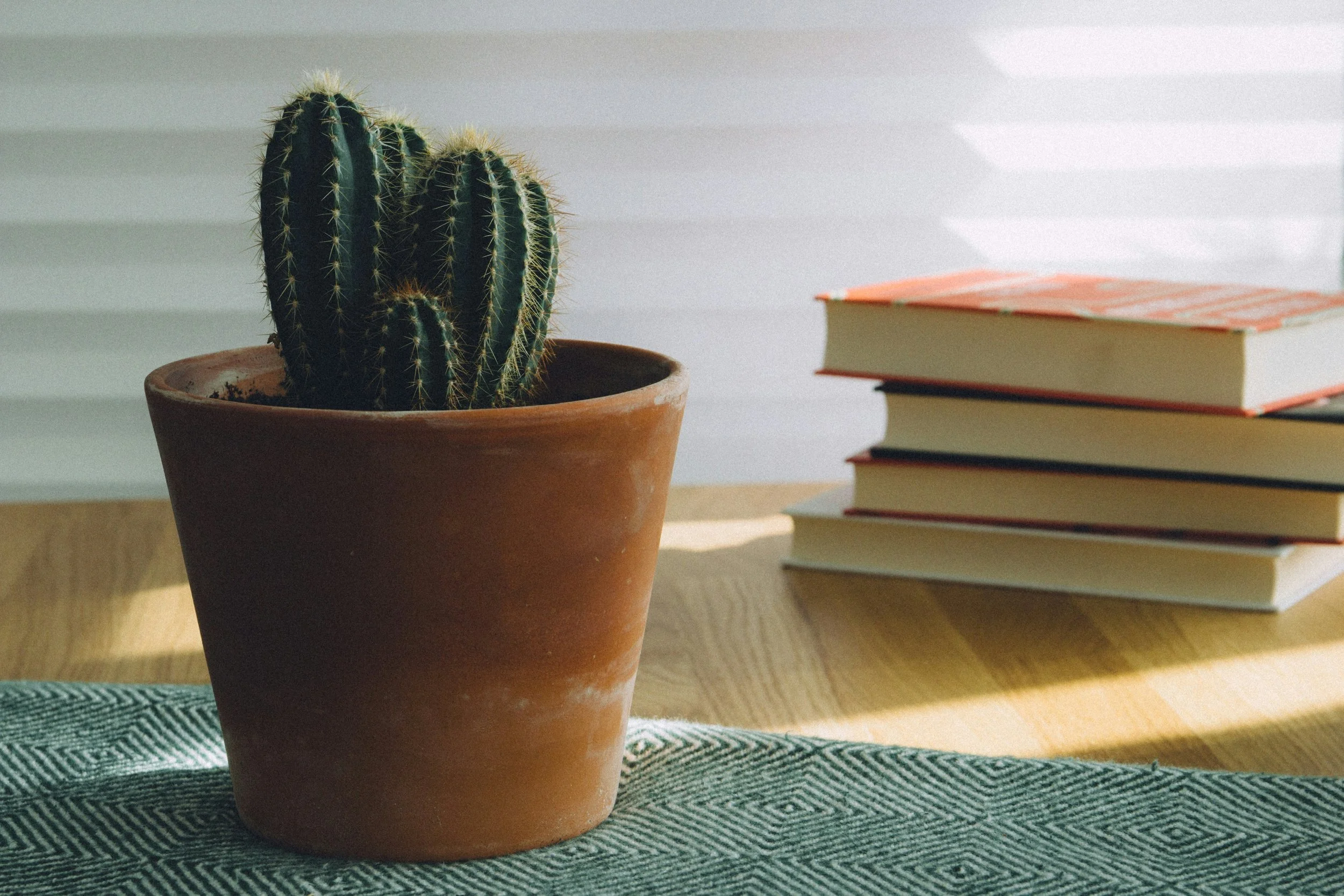 The Power of Reading for Personal Growth