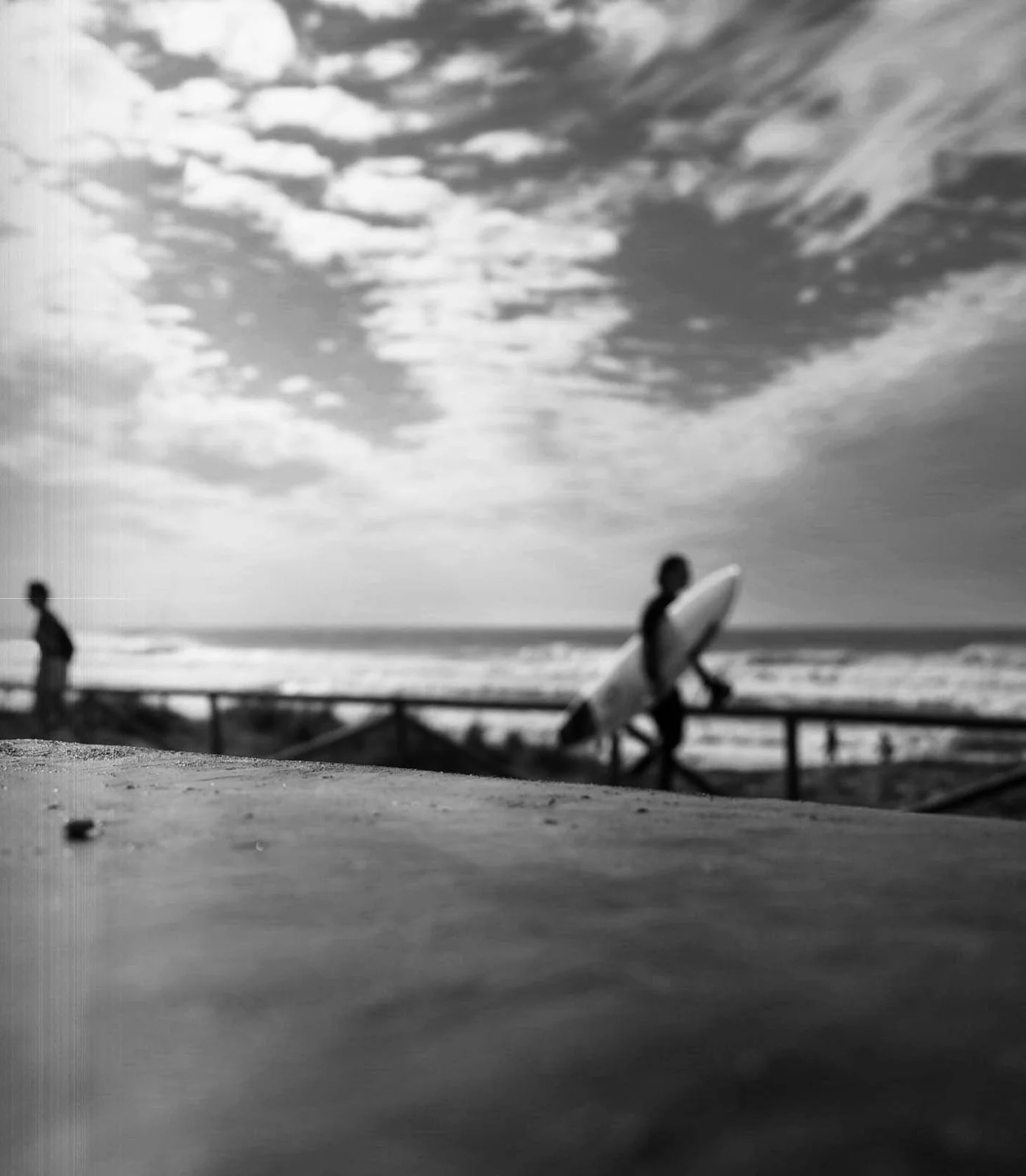 CAZORLA_EVA_EL PALMAR_CADIZ_31 DÉCEMBRE 2022.jpg