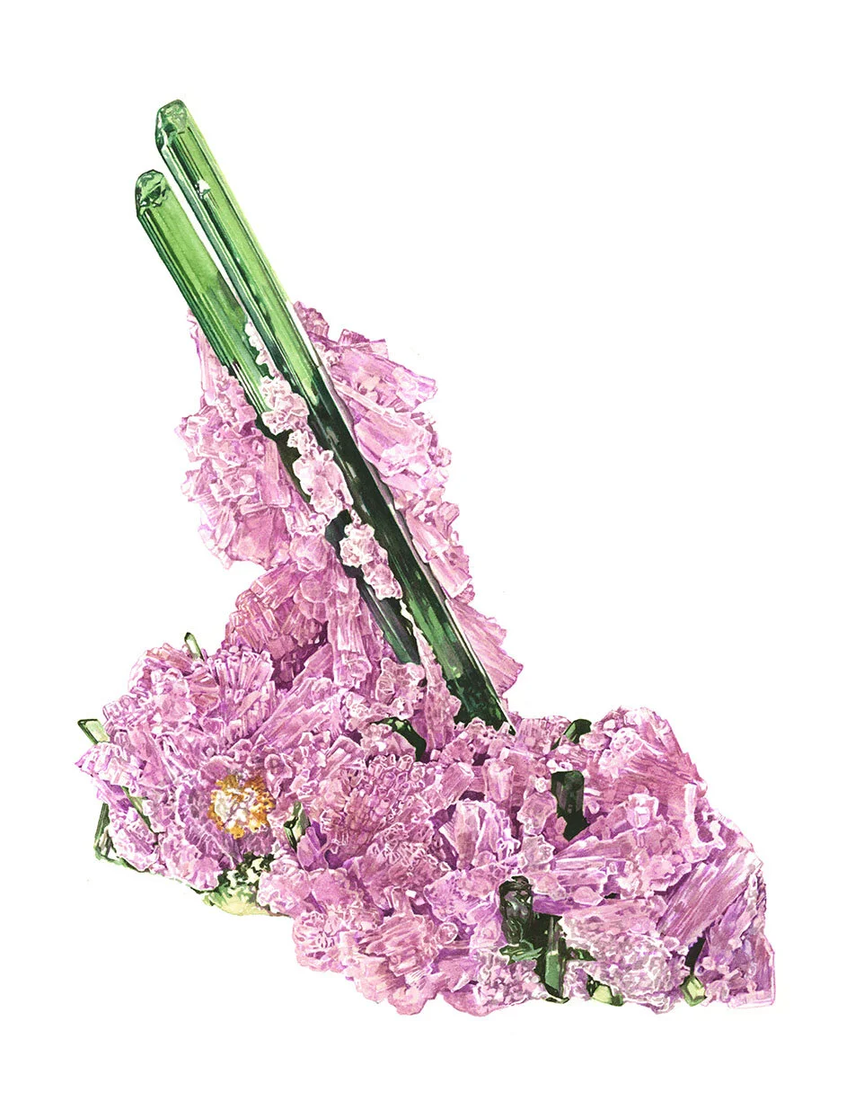 lee_b_pink_tourmaline.jpg
