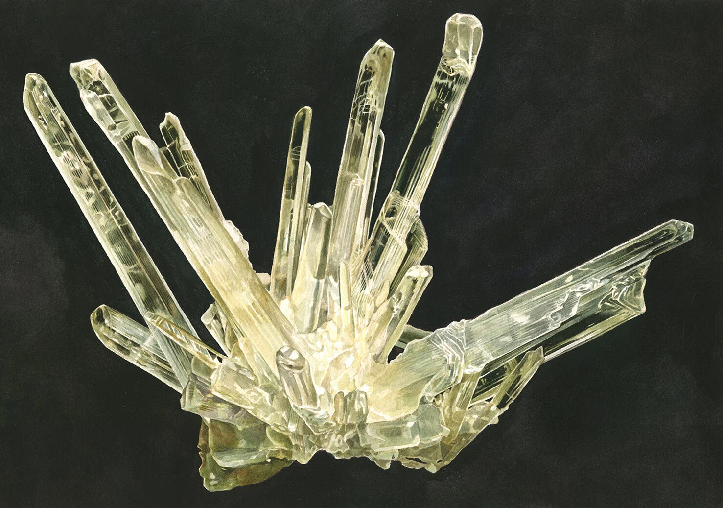 lee_b_gypsum_selenite.jpg