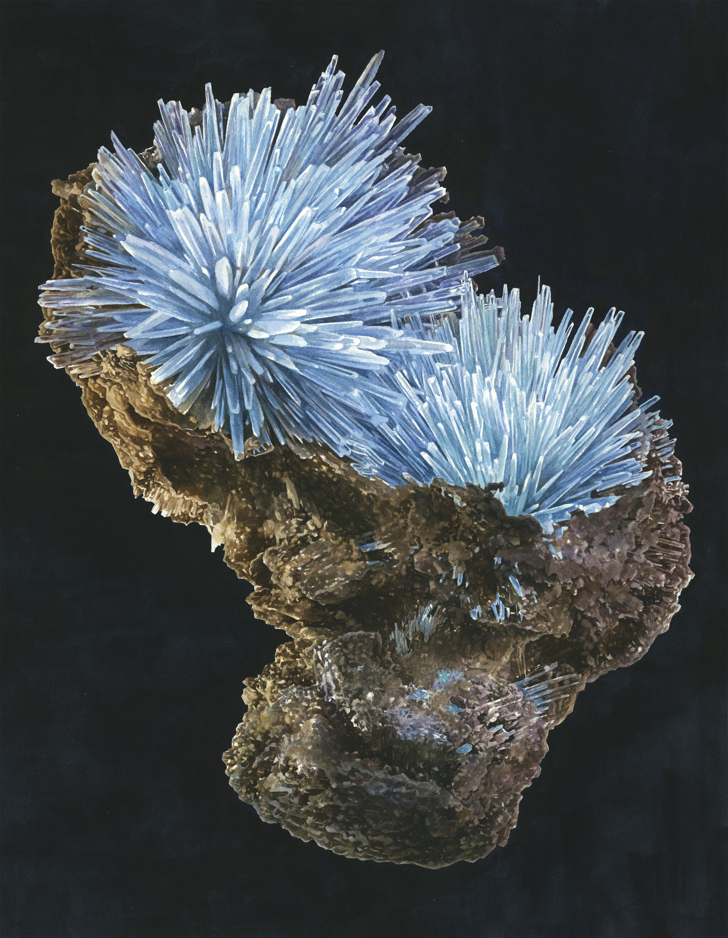 aragonite_ss.jpg