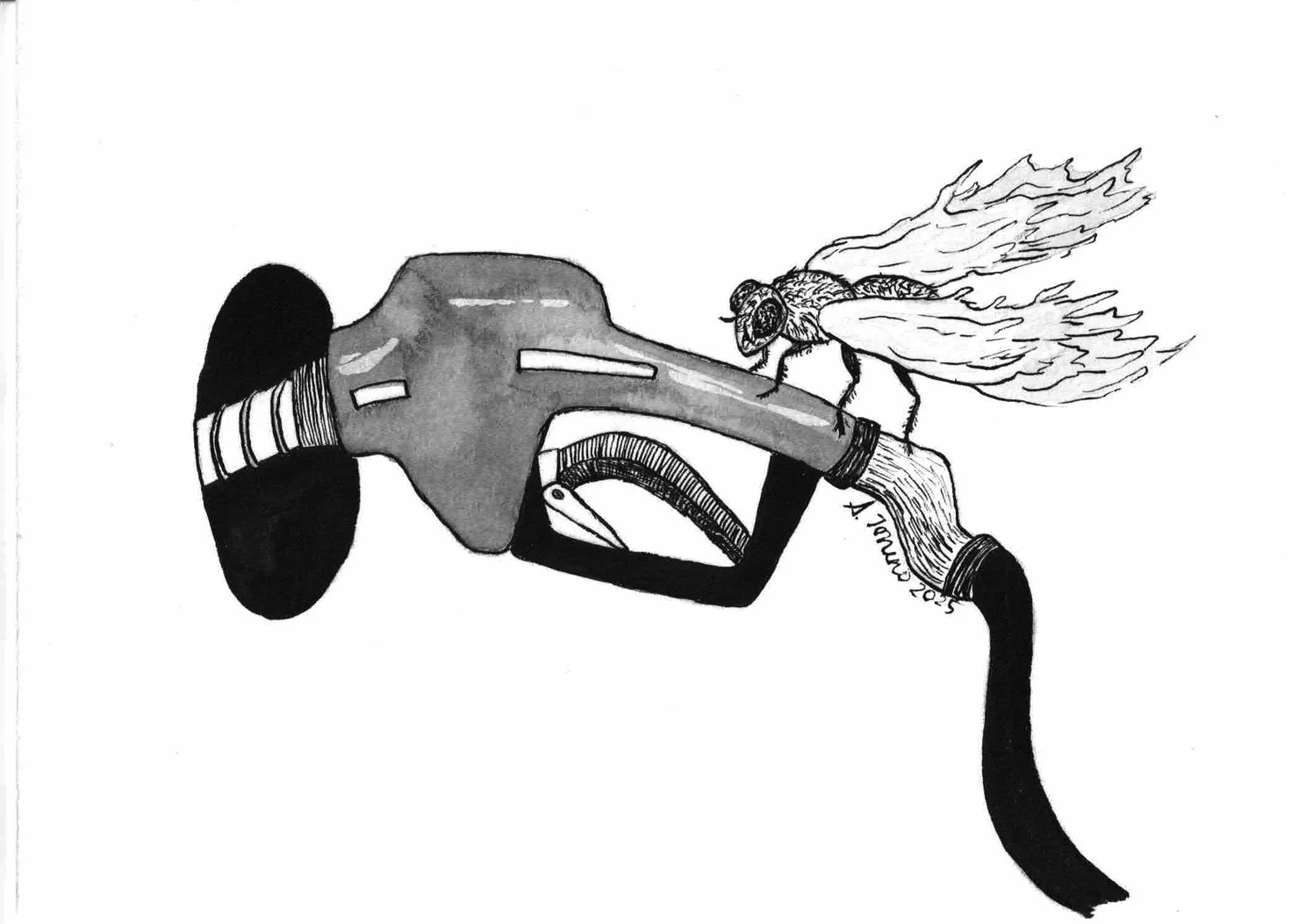 firefly - day 23.jpeg