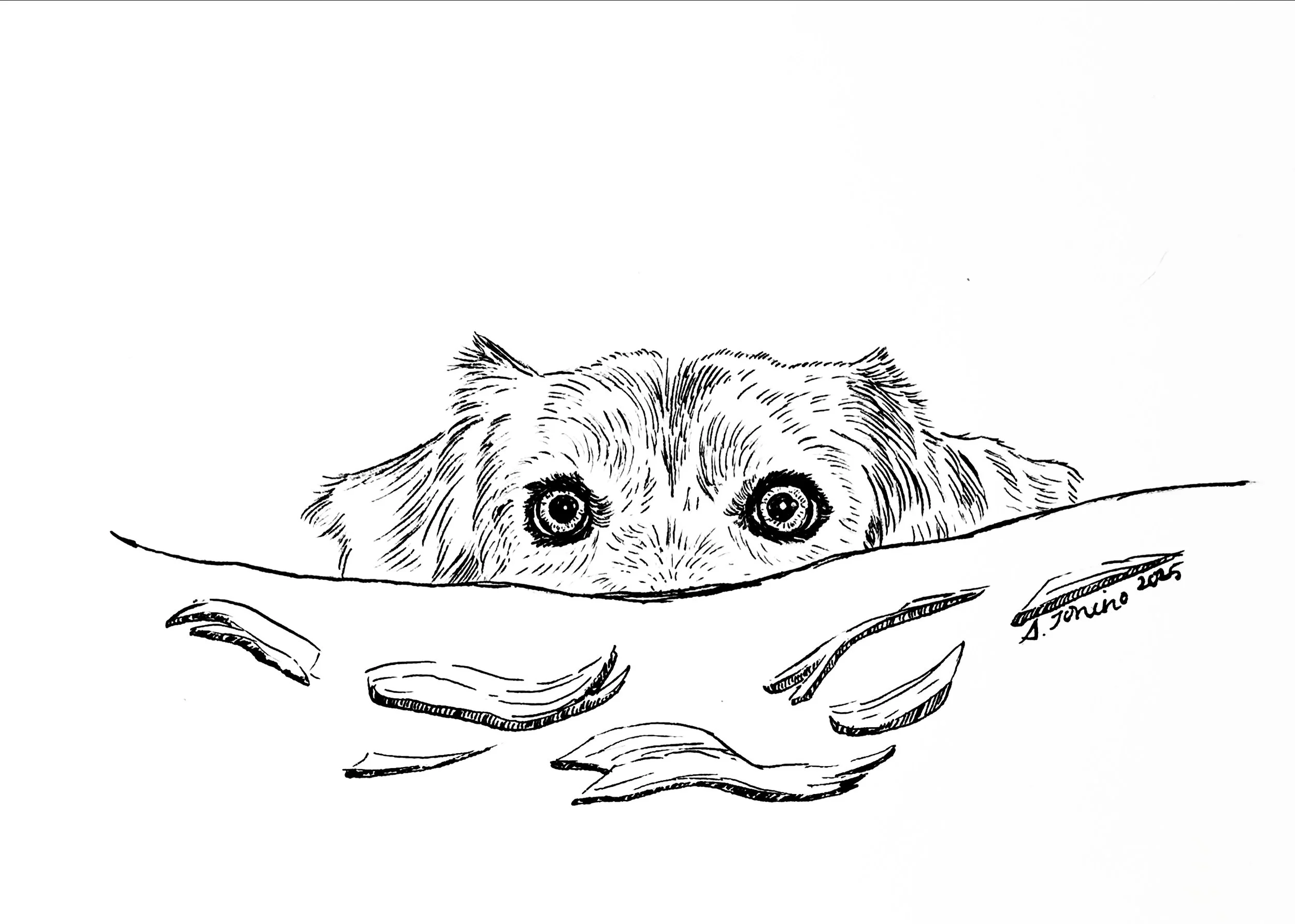 Inktober 2025 - Shredded - Day 12