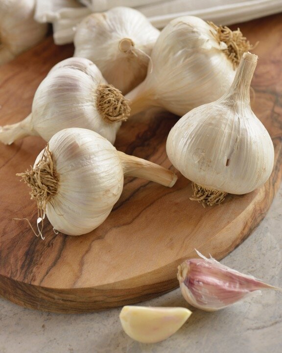 Fresh Garlic from Brant County.