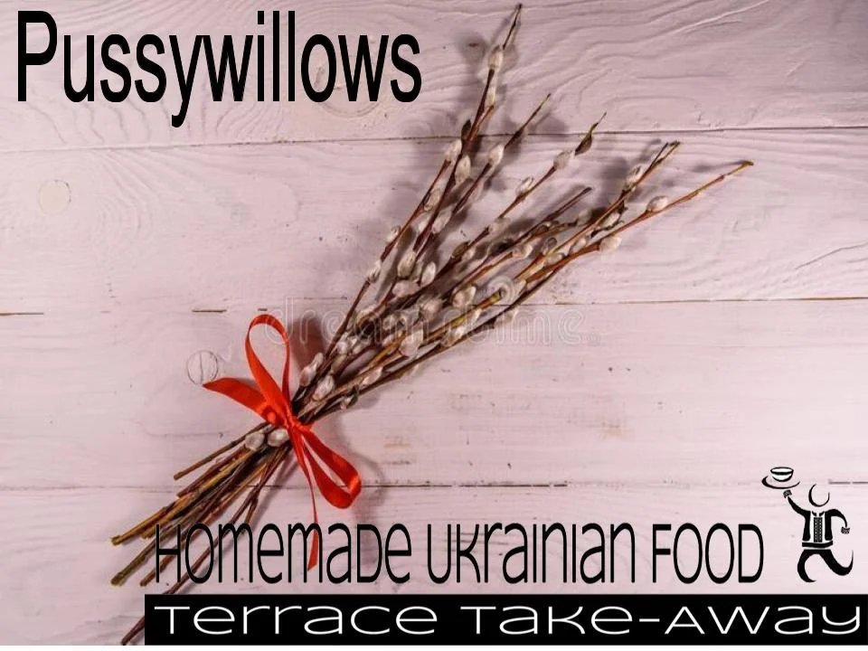 pussywillows.jpeg