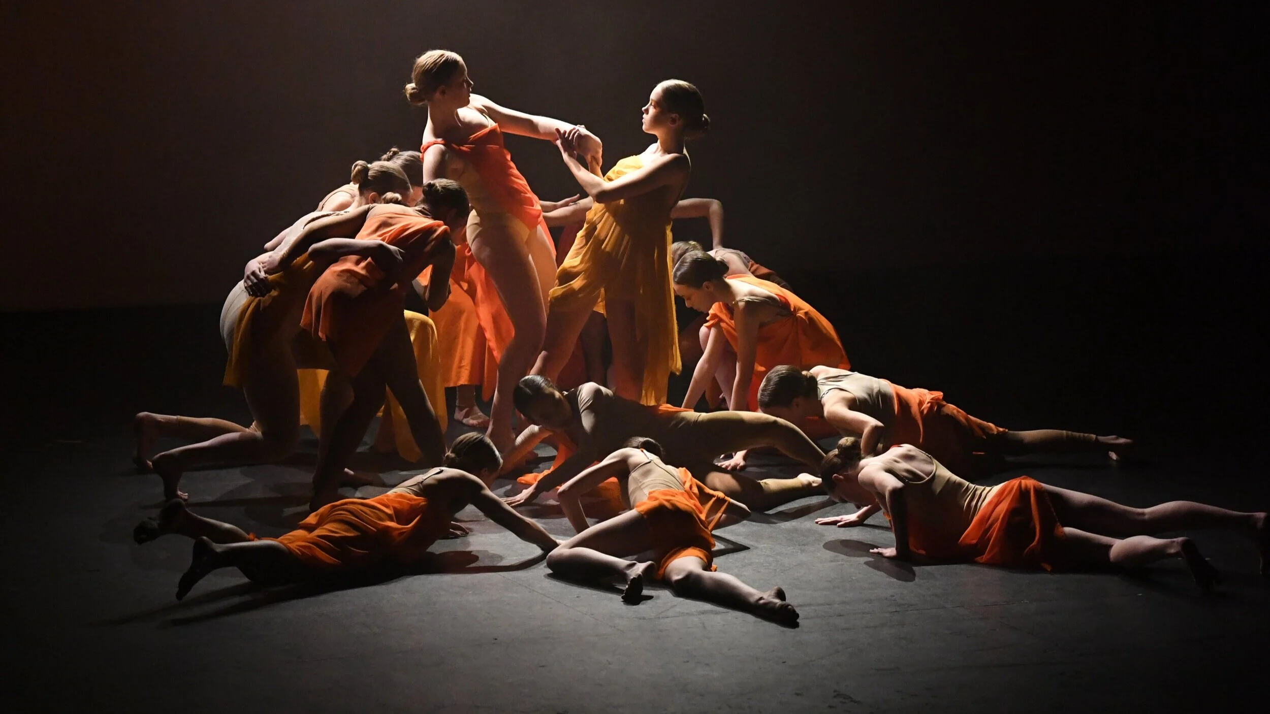 Motus+Dance+2.2.19+JAR_1331+-+Copy.jpg (Copy)