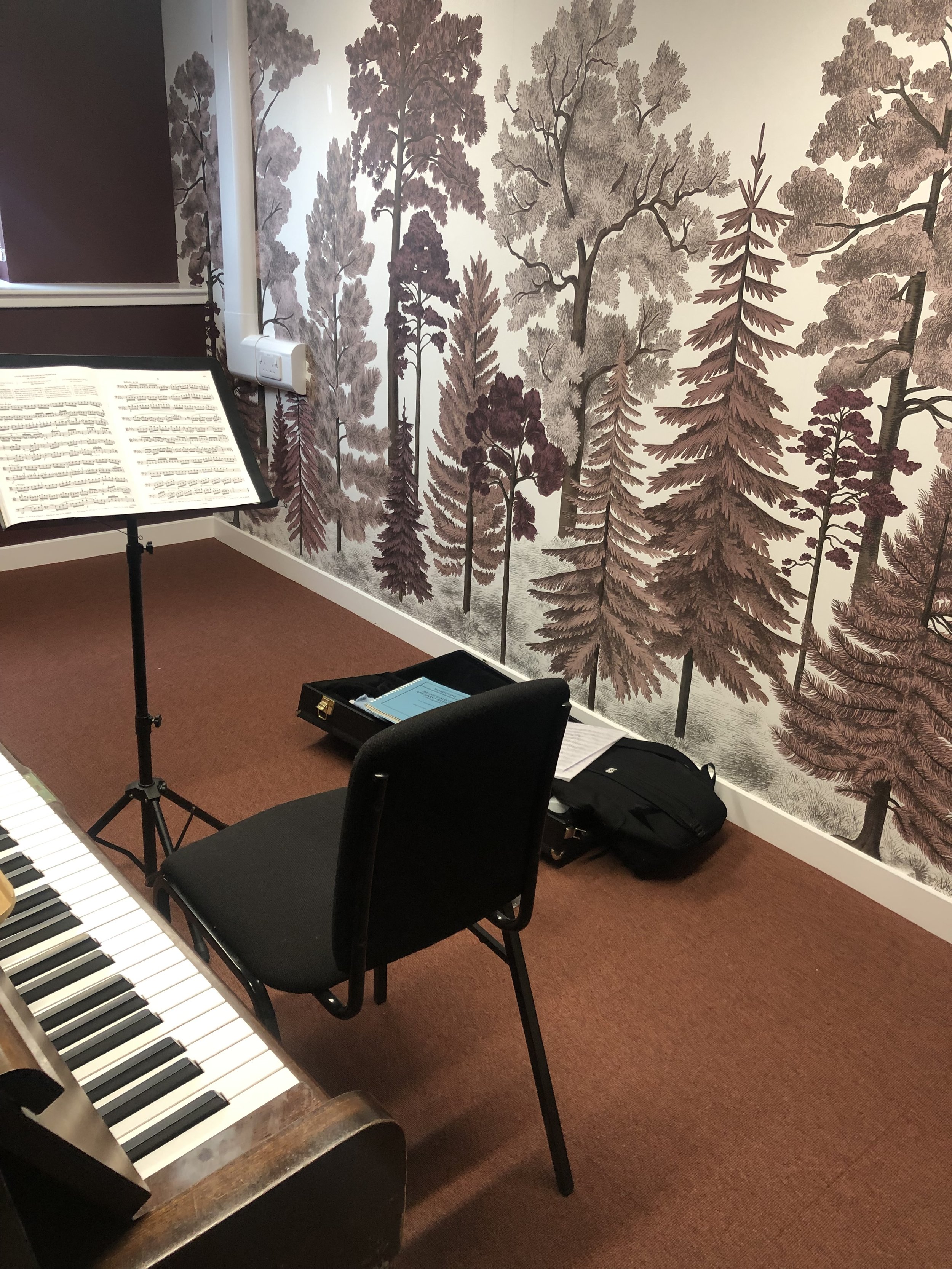 Colourblock plum music practice room