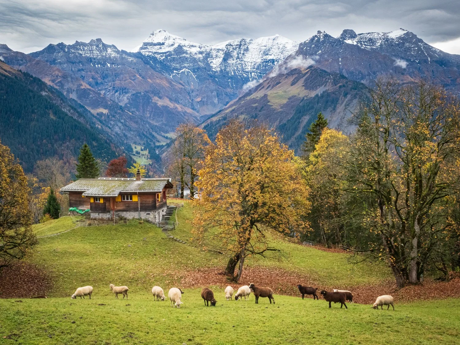 Squarespaceweb-Squarespaceweb-34.jpg