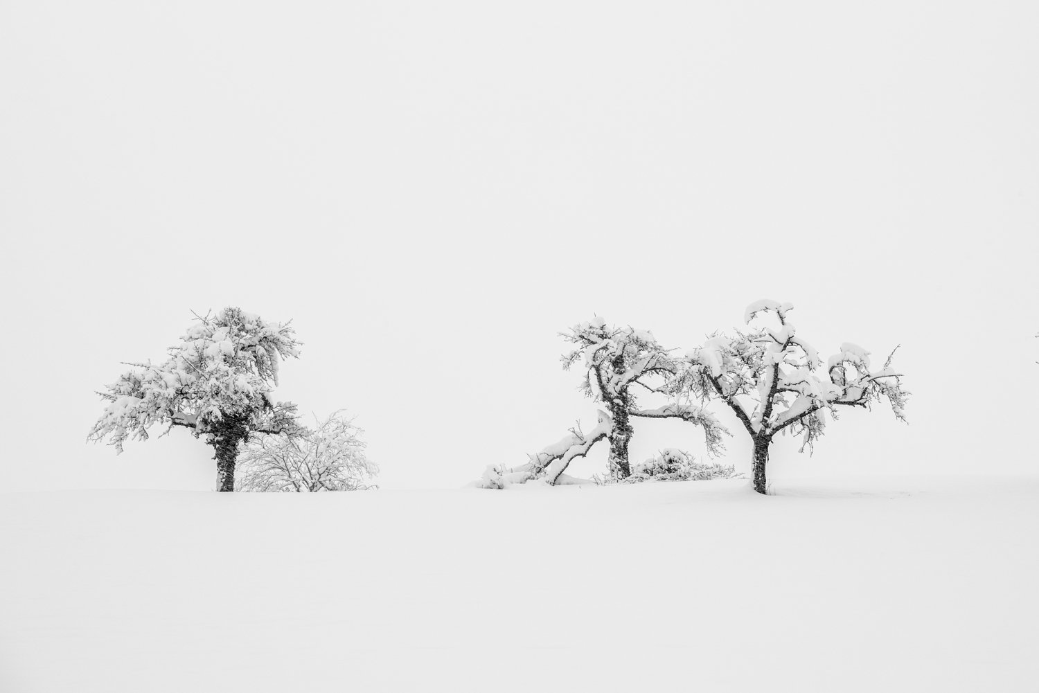 Squarespaceweb-Squarespaceweb-6.jpg