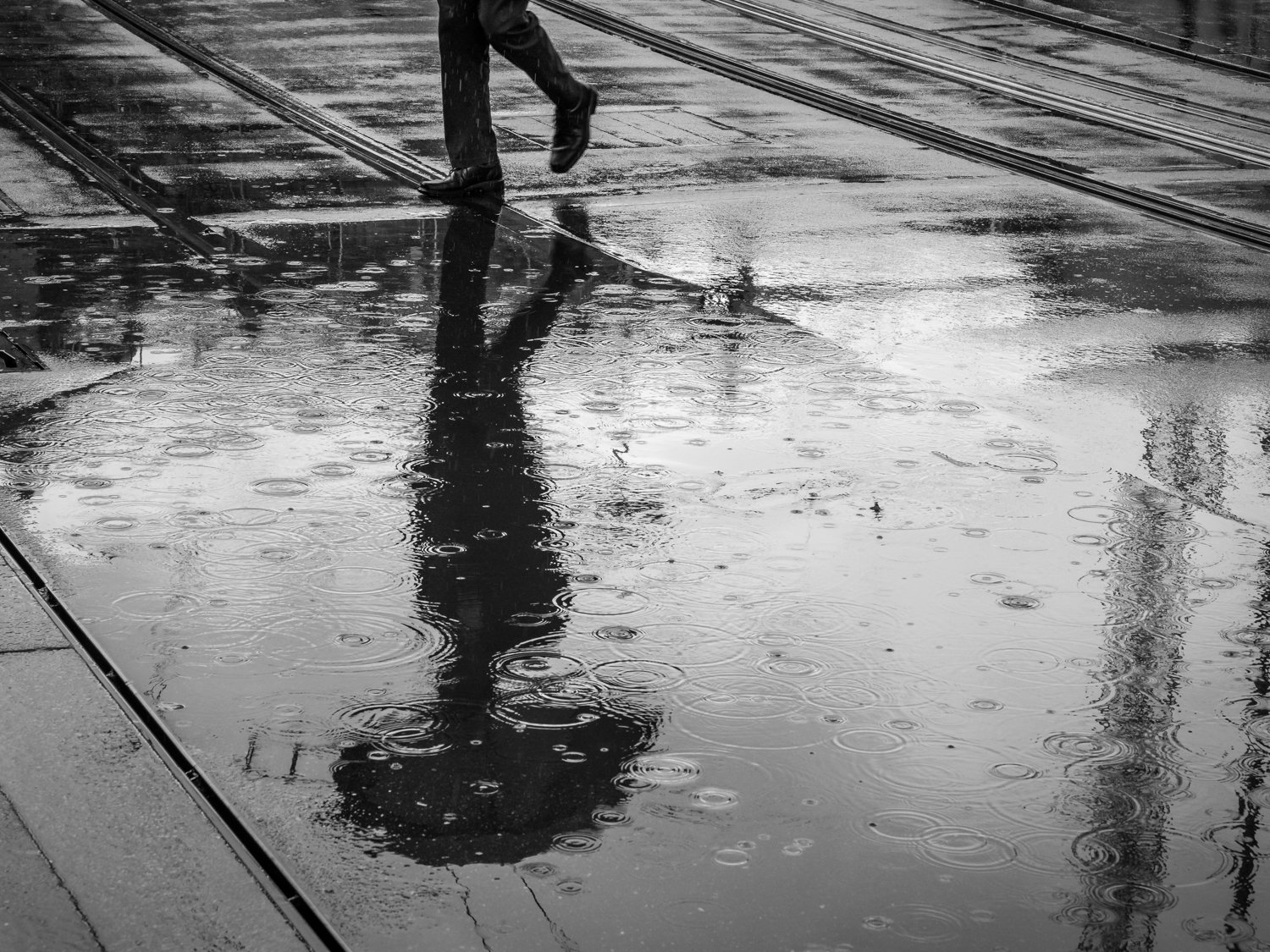 Squarespaceweb-Squarespaceweb-37.jpg