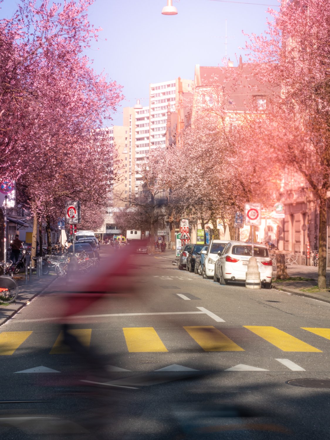 Squarespaceweb-Squarespaceweb-27.jpg