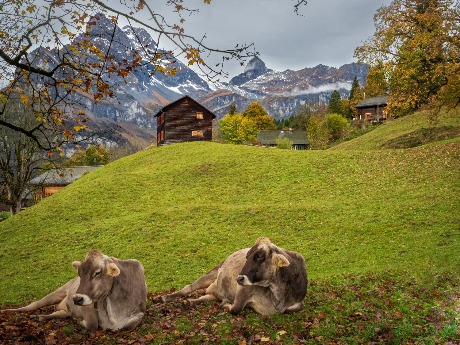 Squarespaceweb-Squarespaceweb-33.jpg