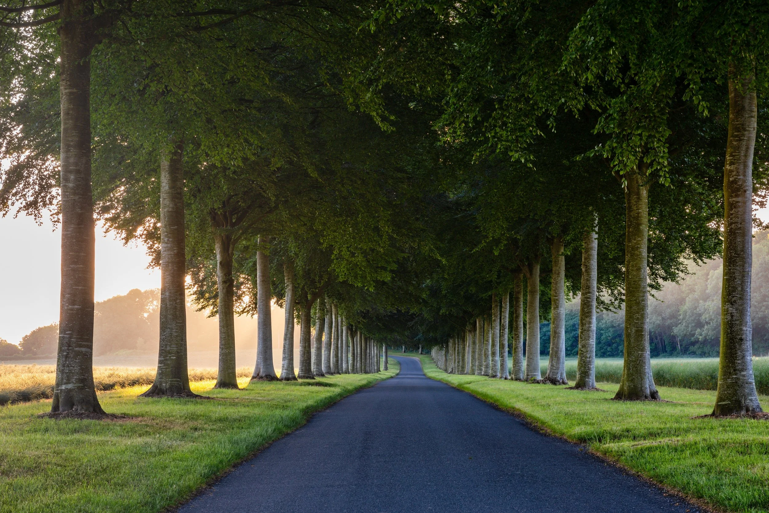 Rural Real Estate Management & Consultancy
