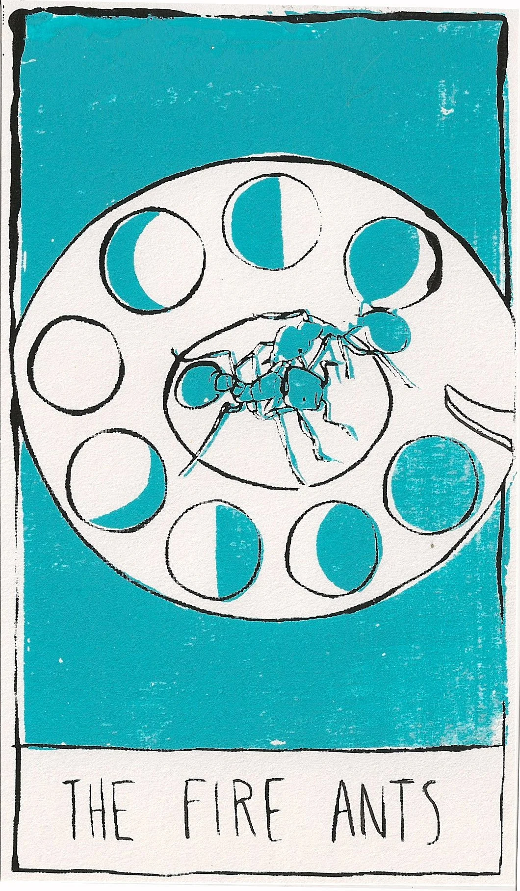 fire_ants.jpg