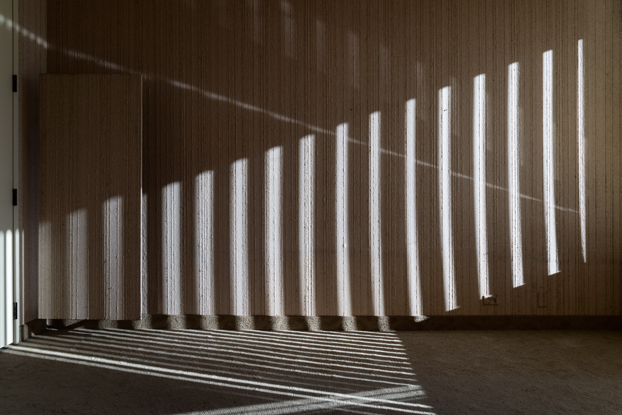 LightPaint_2000px_web.jpg