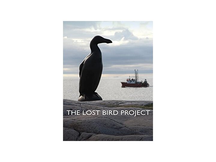 lost bird.jpg