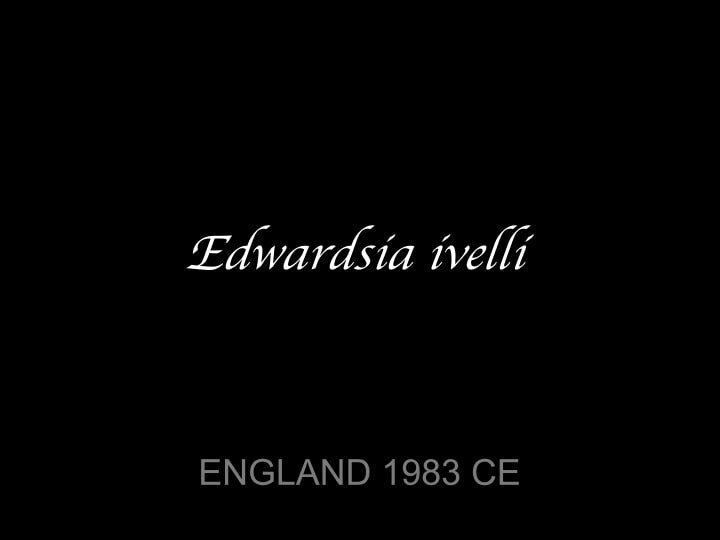 Edwarsia rot-min.jpg