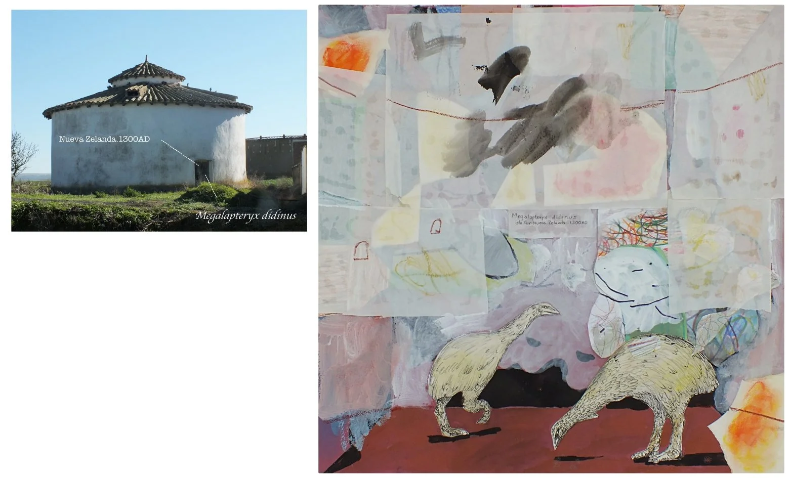 batch_Megalapteryx didinus.jpg