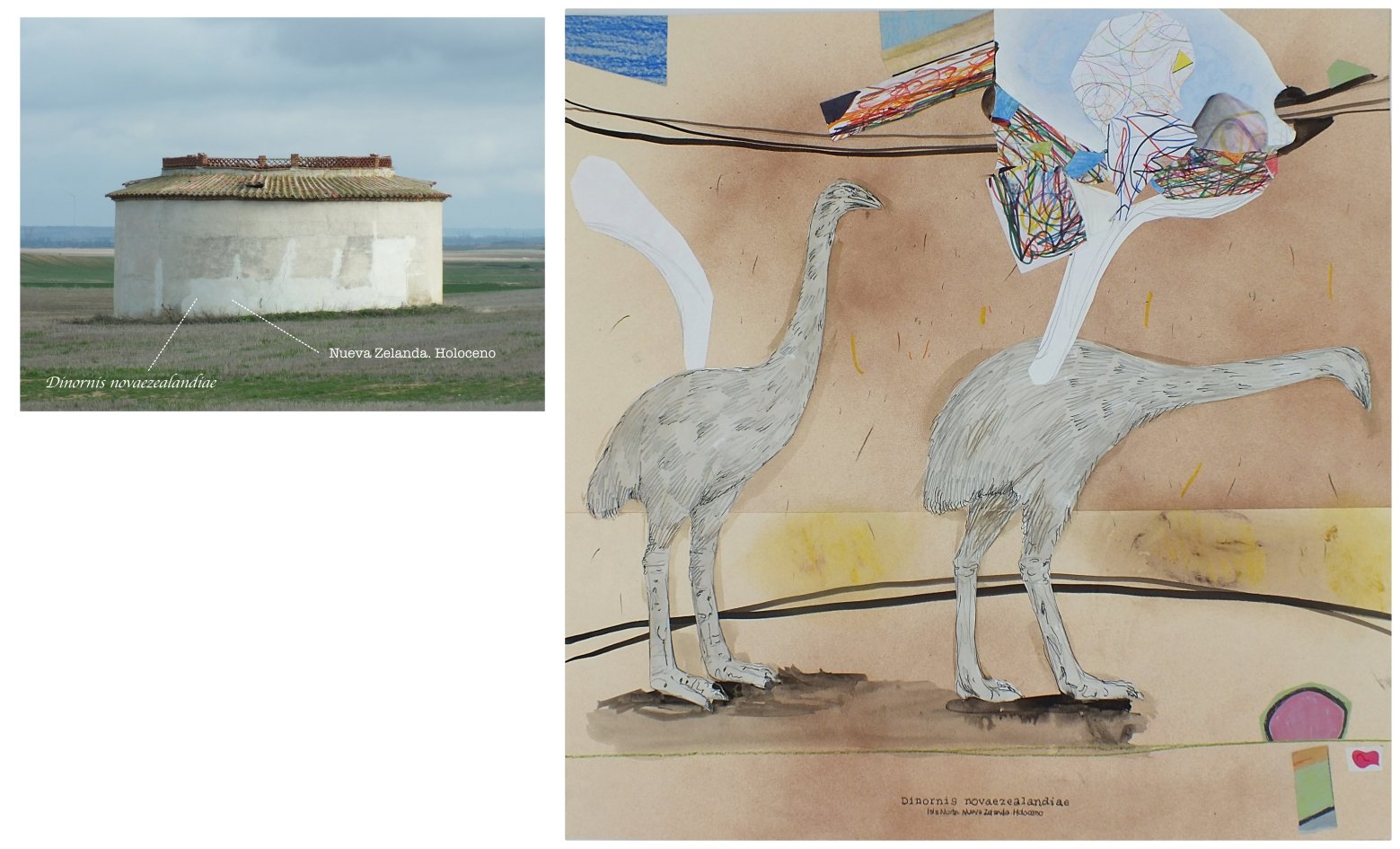 batch_Dinornis novahollandiae.jpg