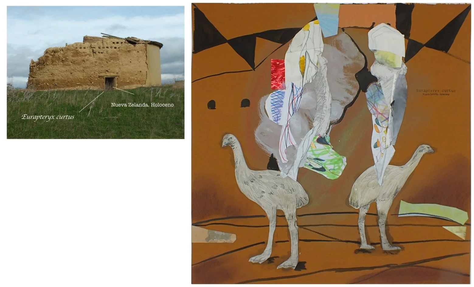 batch_Eurapteryx curtus.jpg