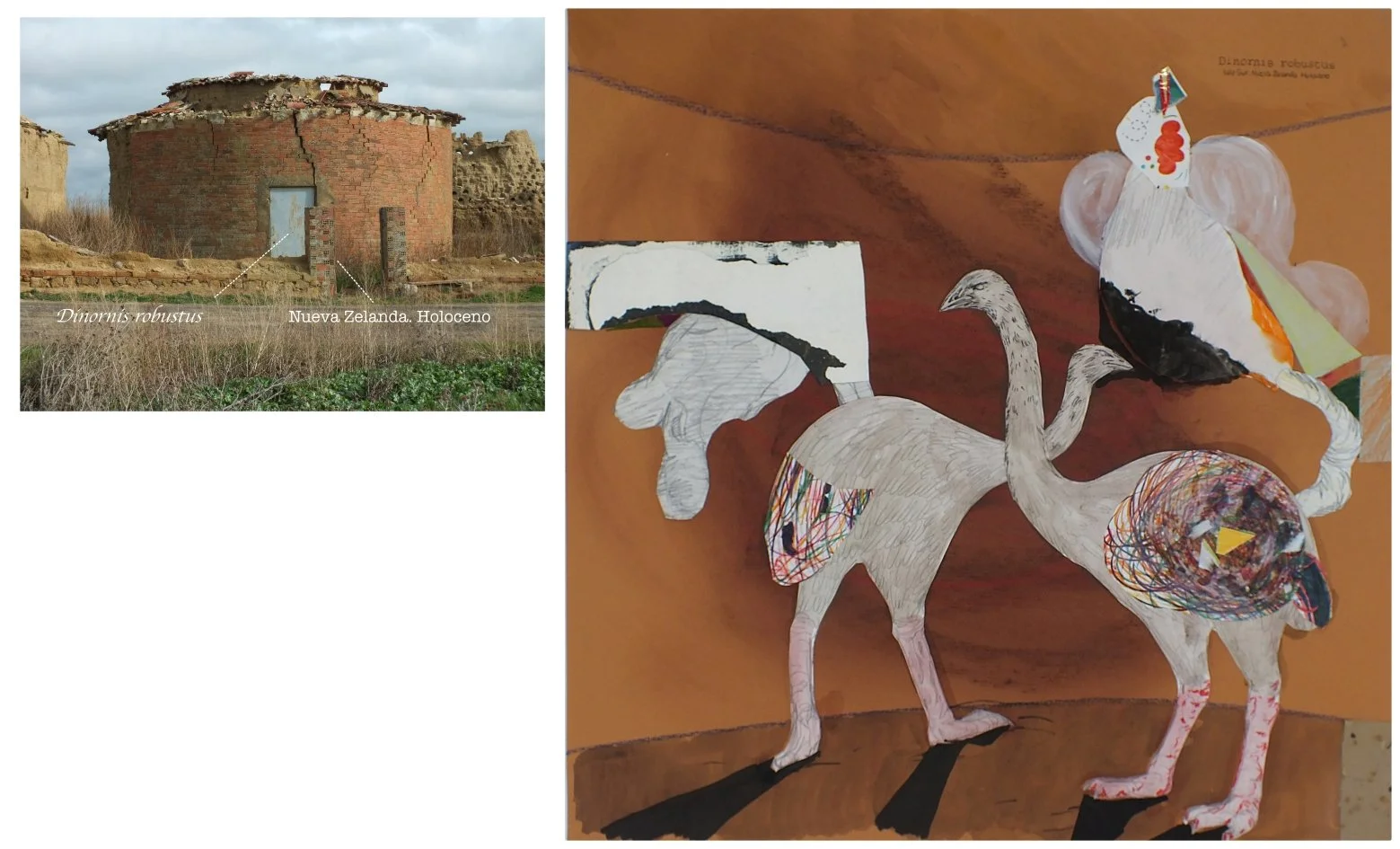 batch_Dinornis robustus.jpg