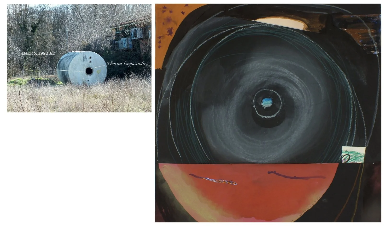 batch_collage 10.jpg