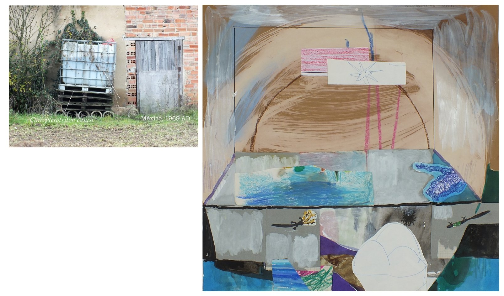 batch_collage 12.jpg